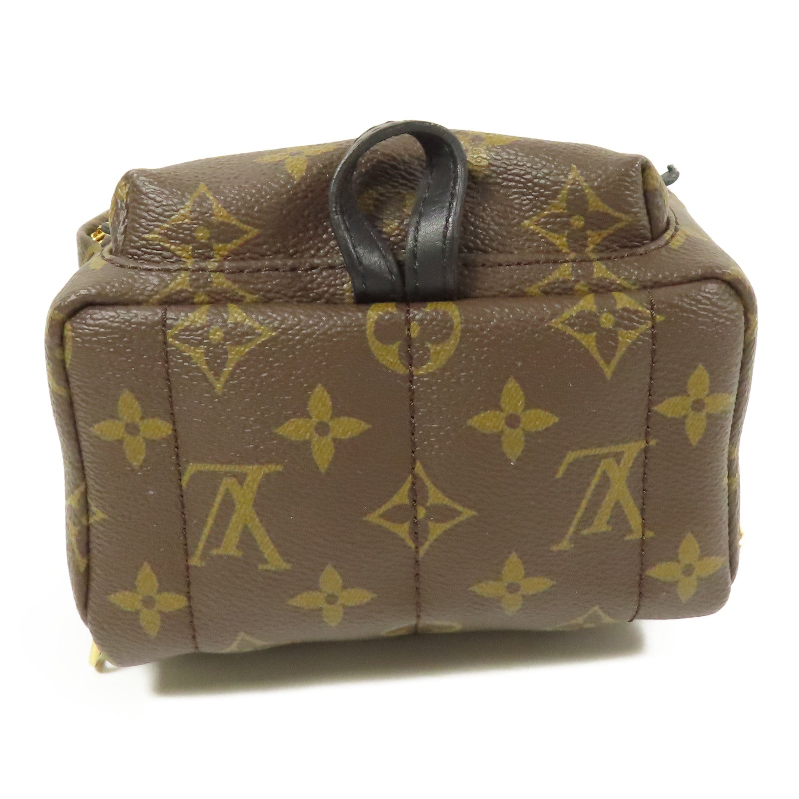 LOUIS VUITTON LV GHW Palm Spring Mini Backpack Monogram M44873 Brown