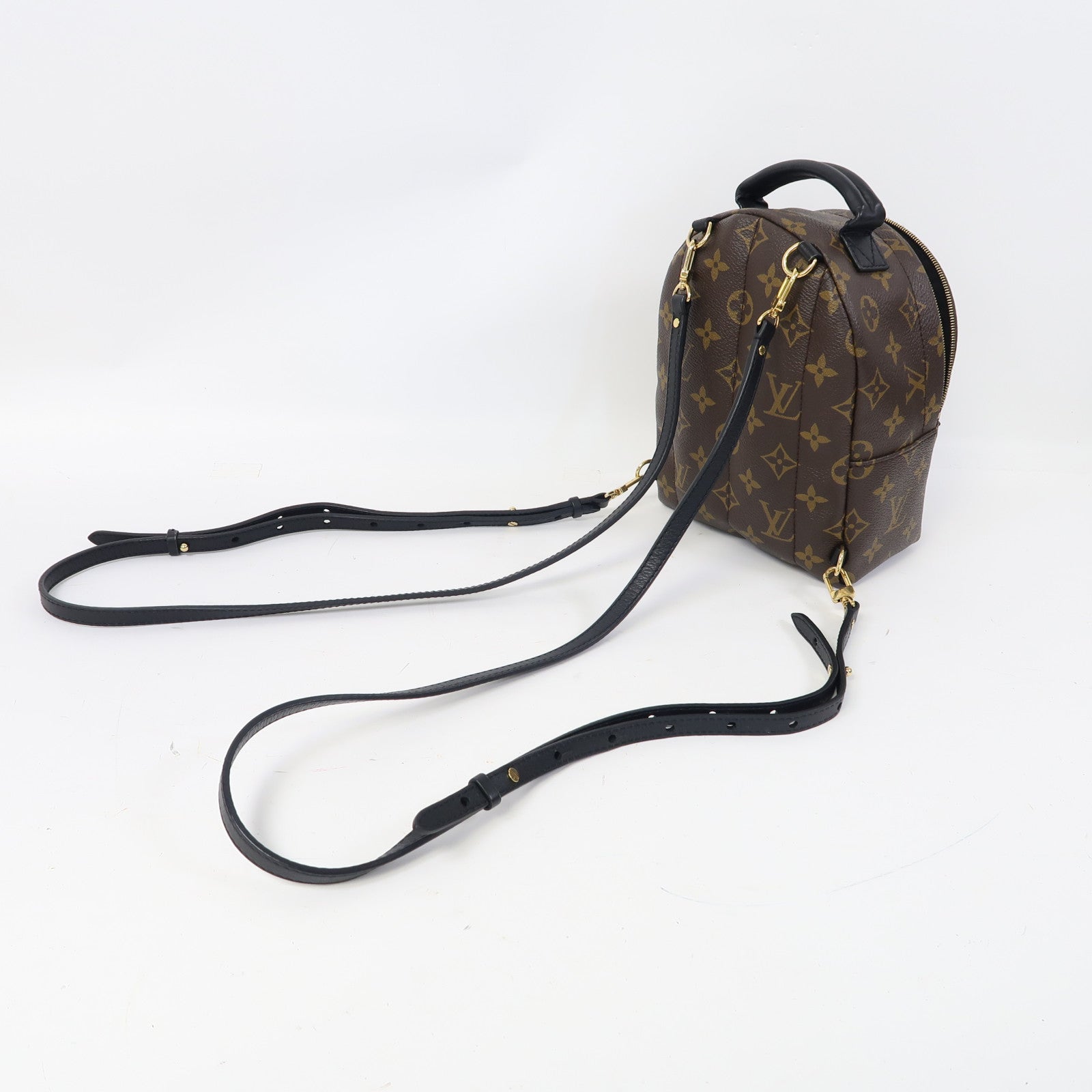 LOUIS VUITTON Monogram Palm Springs Mini金扣背包啡色