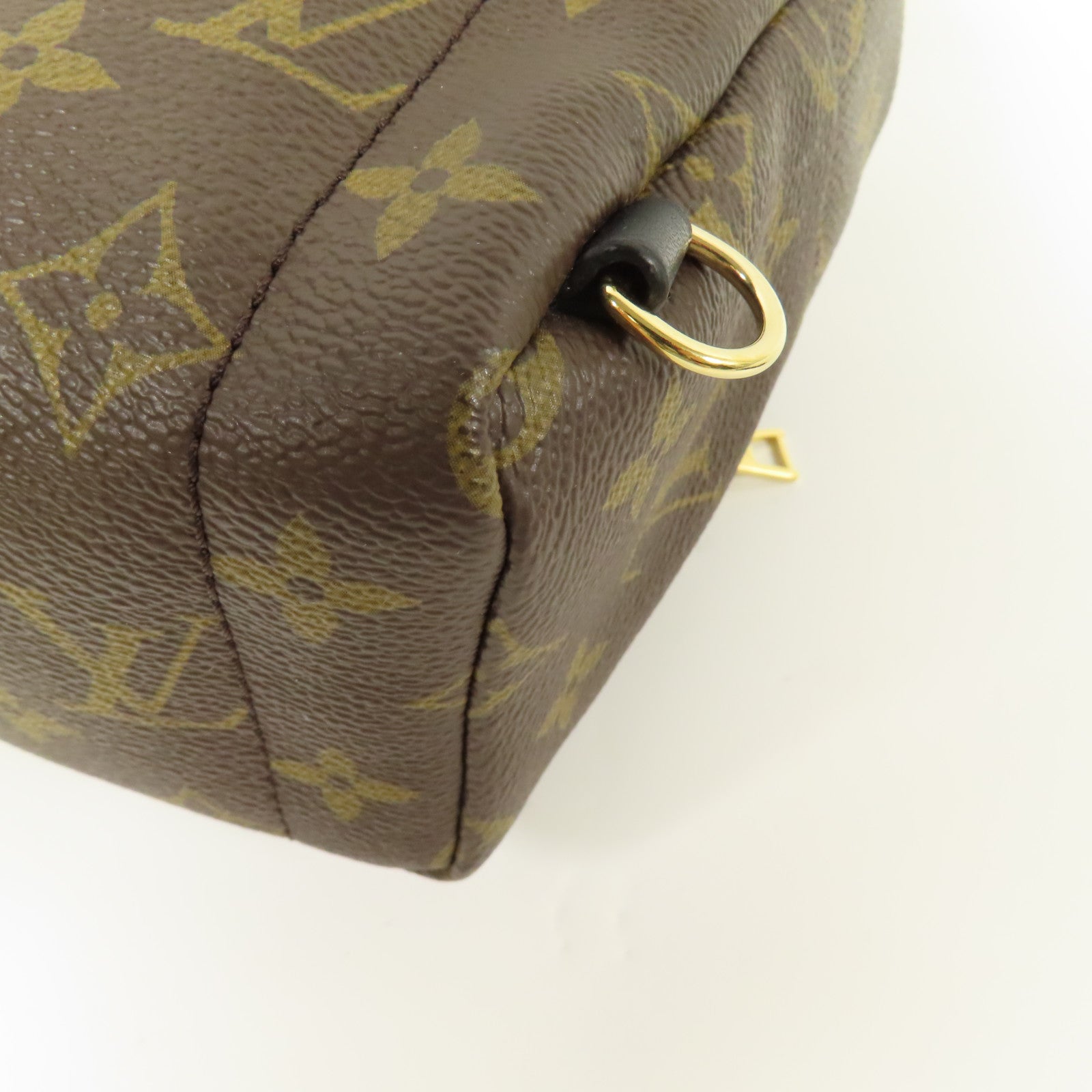 LOUIS VUITTON LV GHW Palm Spring Mini Backpack Monogram M44873 Brown