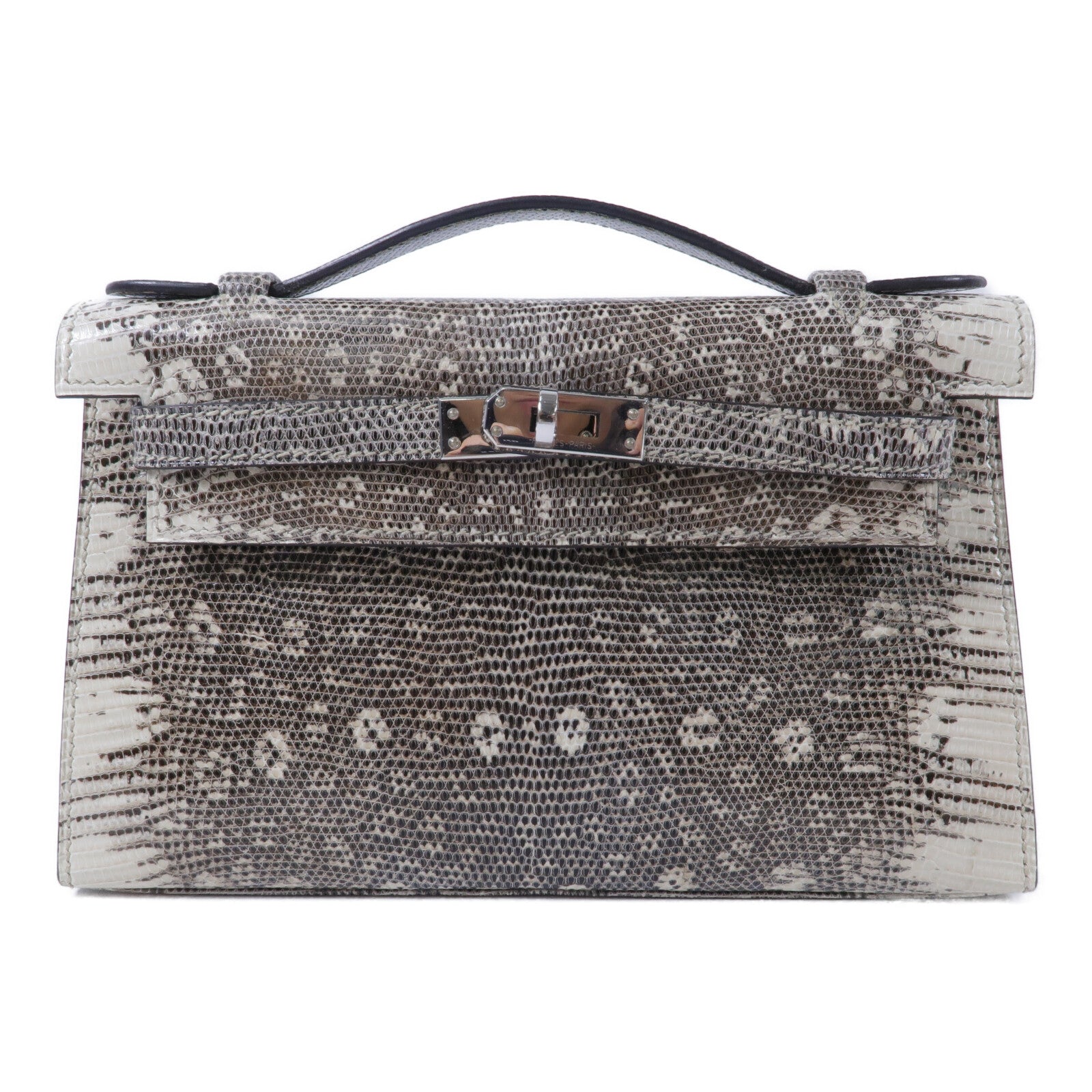 HERMES 蜥蝪皮革Ombre Mini Kelly Pochette手挽袋