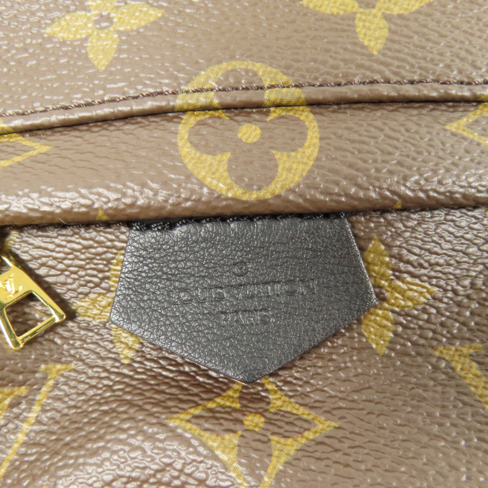 LOUIS VUITTON LV GHW Palm Spring Mini Backpack Monogram M44873 Brown