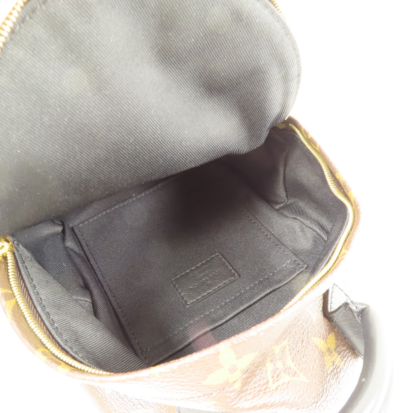 LOUIS VUITTON LV GHW Palm Spring Mini Backpack Monogram M44873 Brown