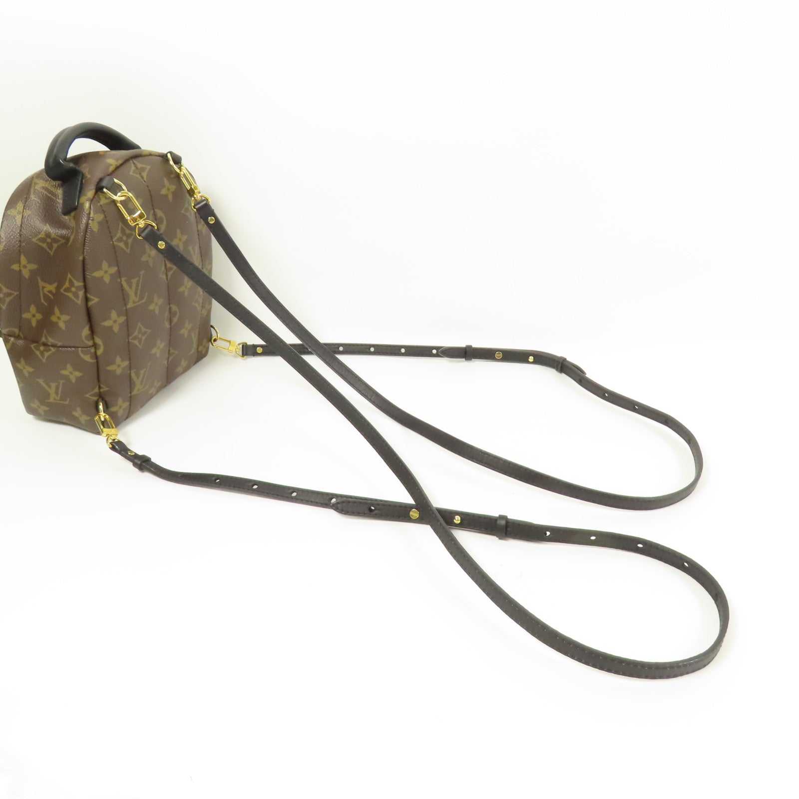 LOUIS VUITTON LV GHW Palm Spring Mini Backpack Monogram M44873 Brown