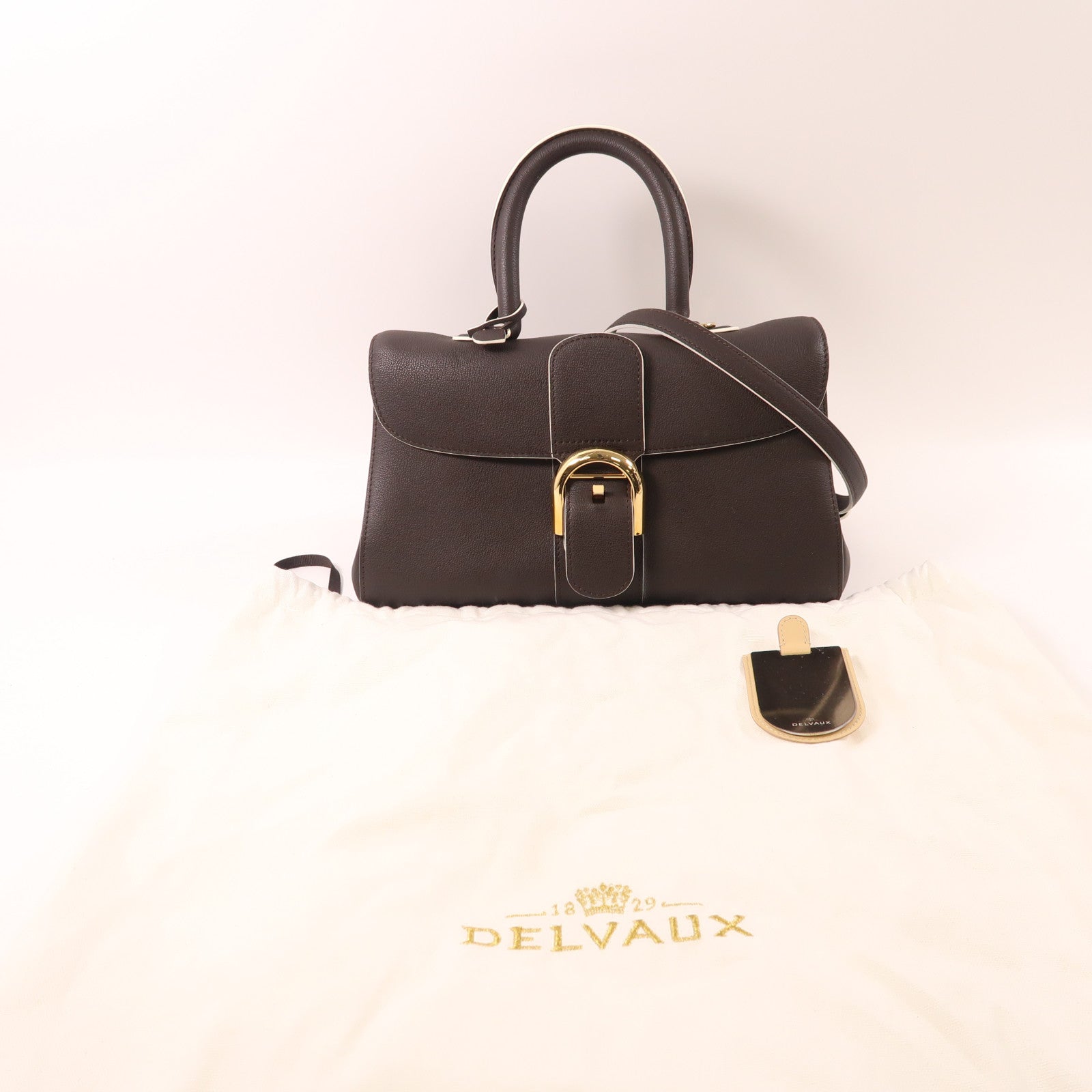 Delvaux 牛皮皮革Briliant East&West金扣手挽肩背兩用袋