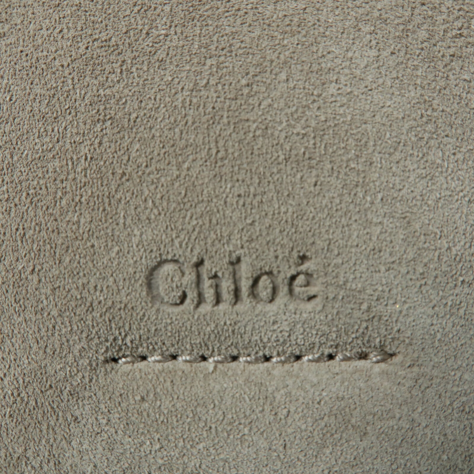 Chloe 牛皮皮革/Suede Faye Backpack背包