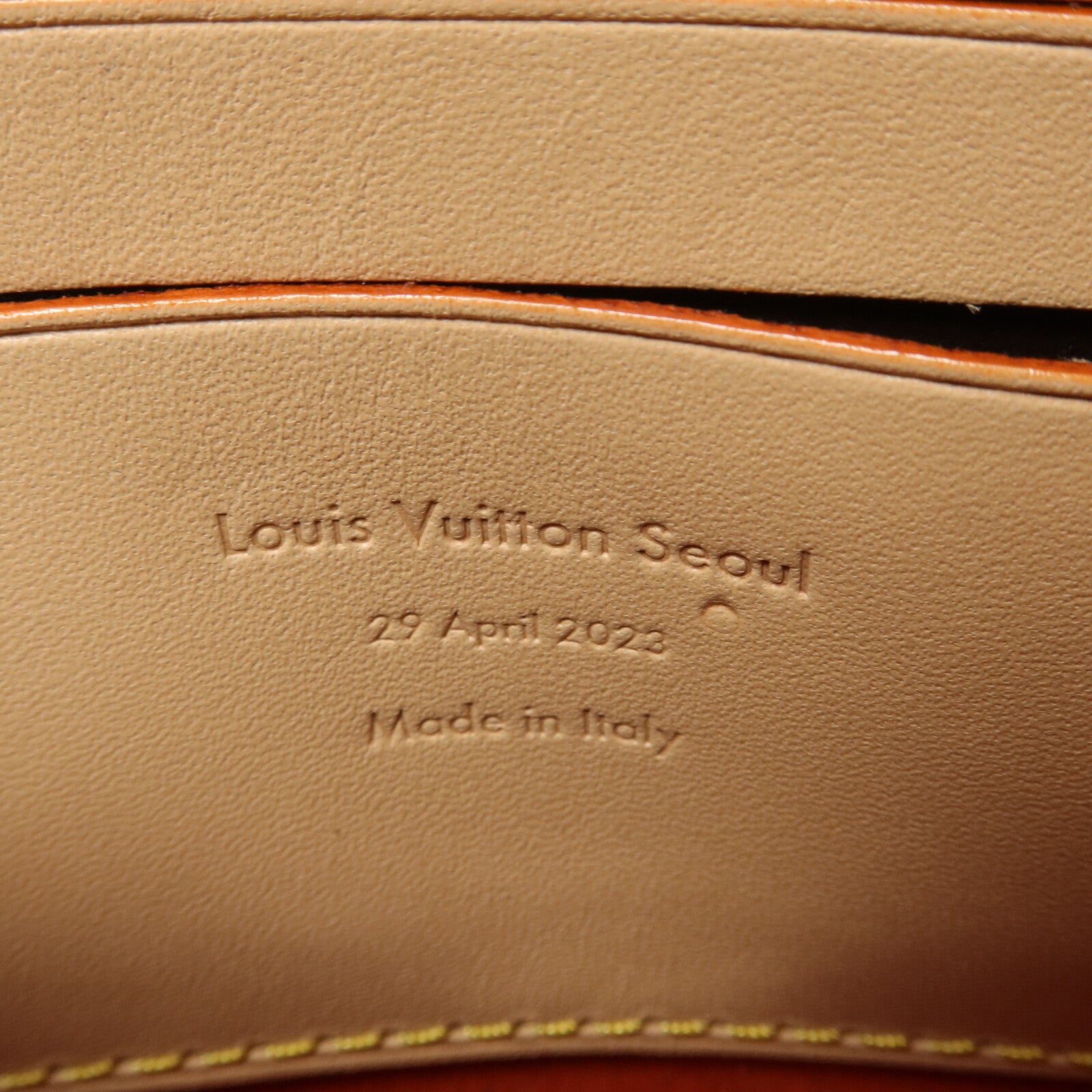 LOUIS VUITTON 牛皮皮革Pochette Ecusson手挽袋