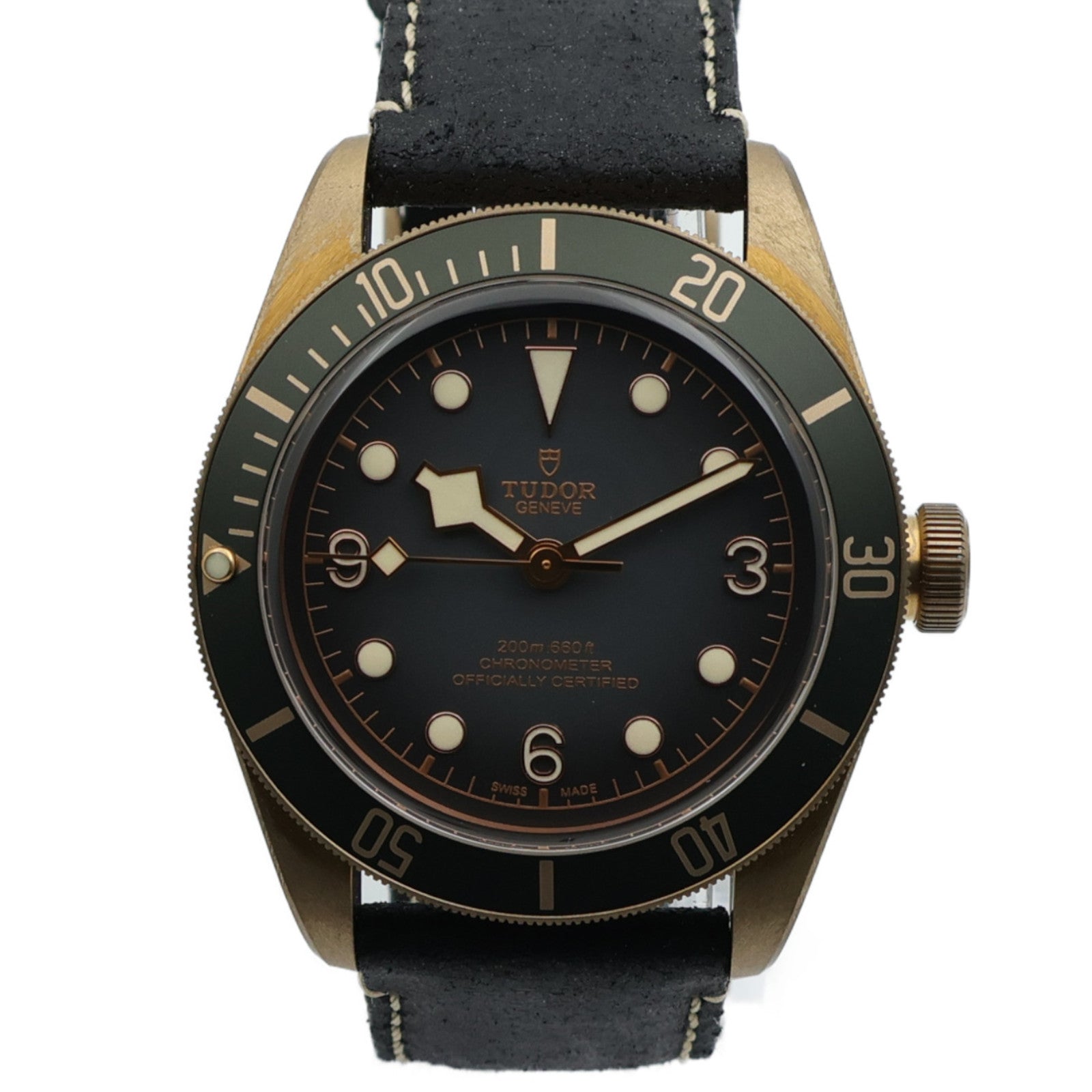 TUDOR Black Bay 79250BA