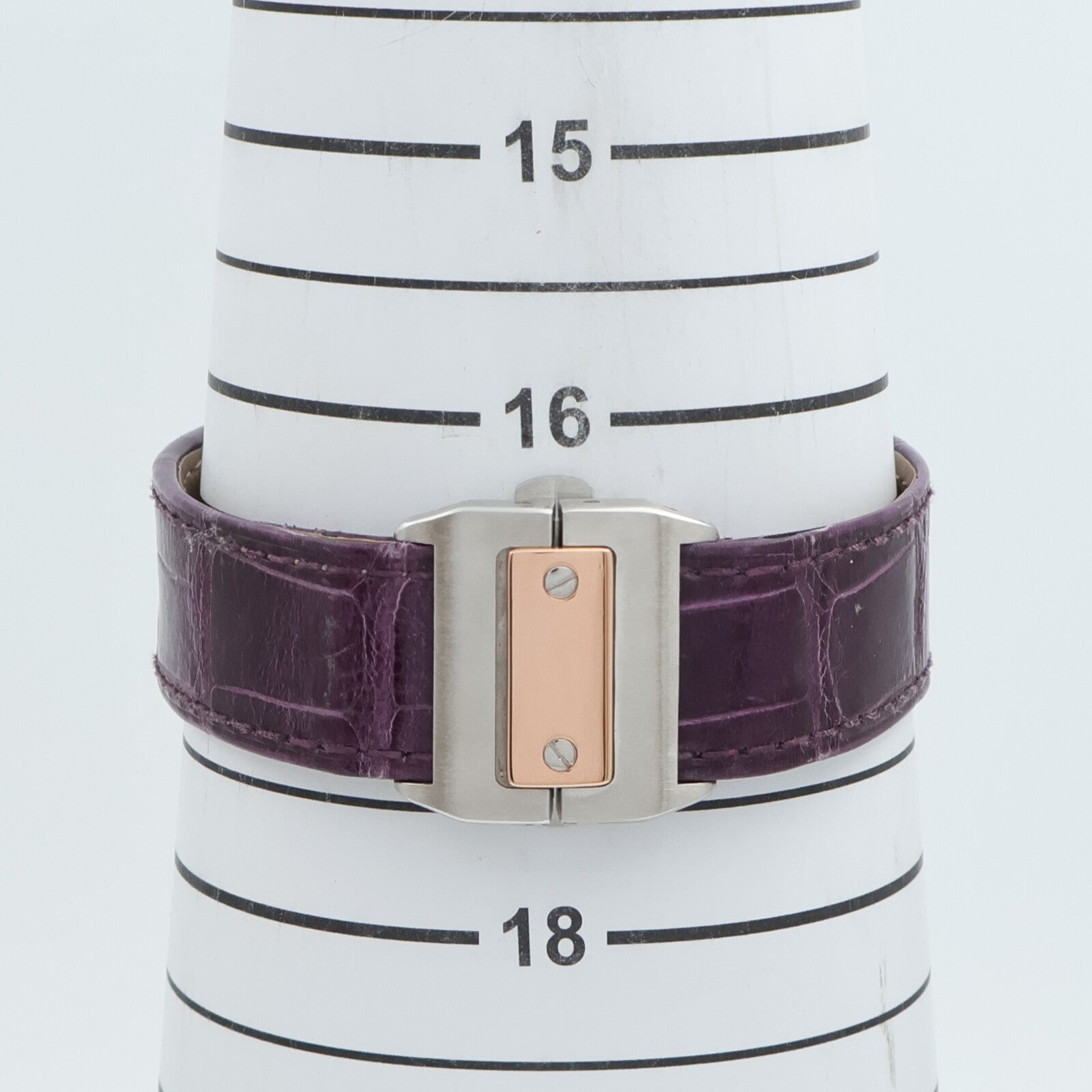 CARTIER Santos 100 W201072X7