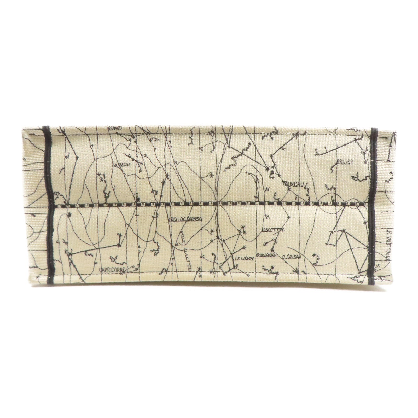 Dior 帆布Handbag手挽袋