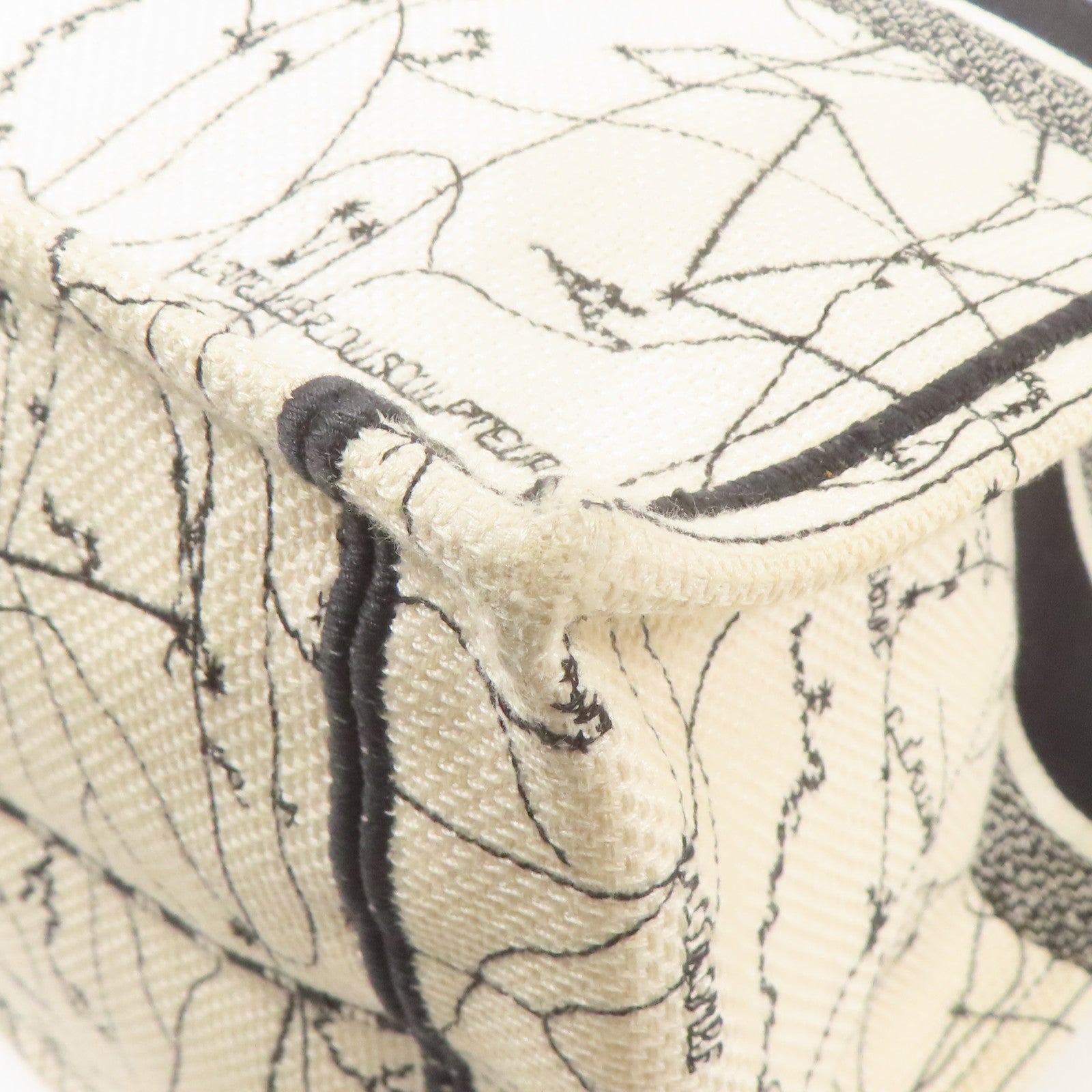 Dior 帆布Handbag手挽袋