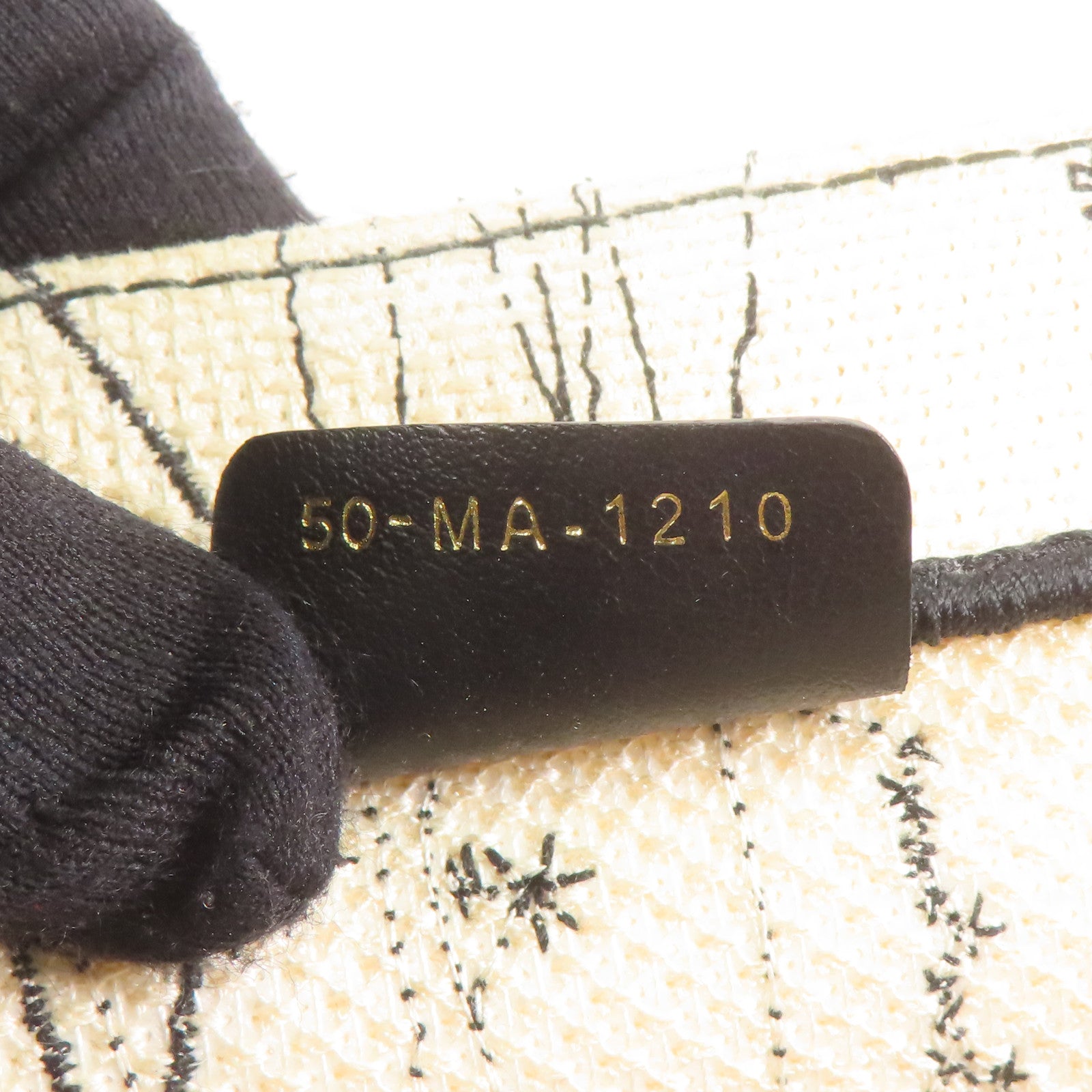 Dior 帆布Handbag手挽袋