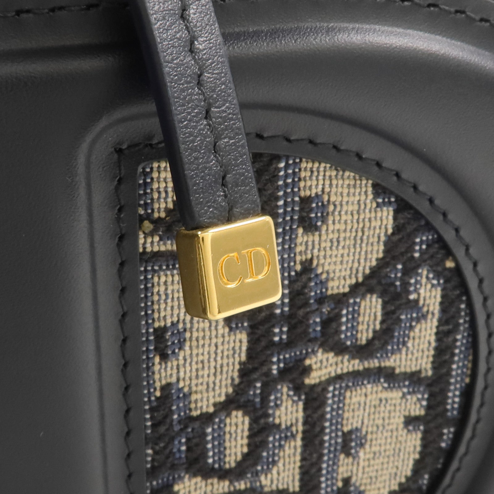 Dior 帆布/皮革CD Signature Oval Camera金扣手挽肩背兩用袋