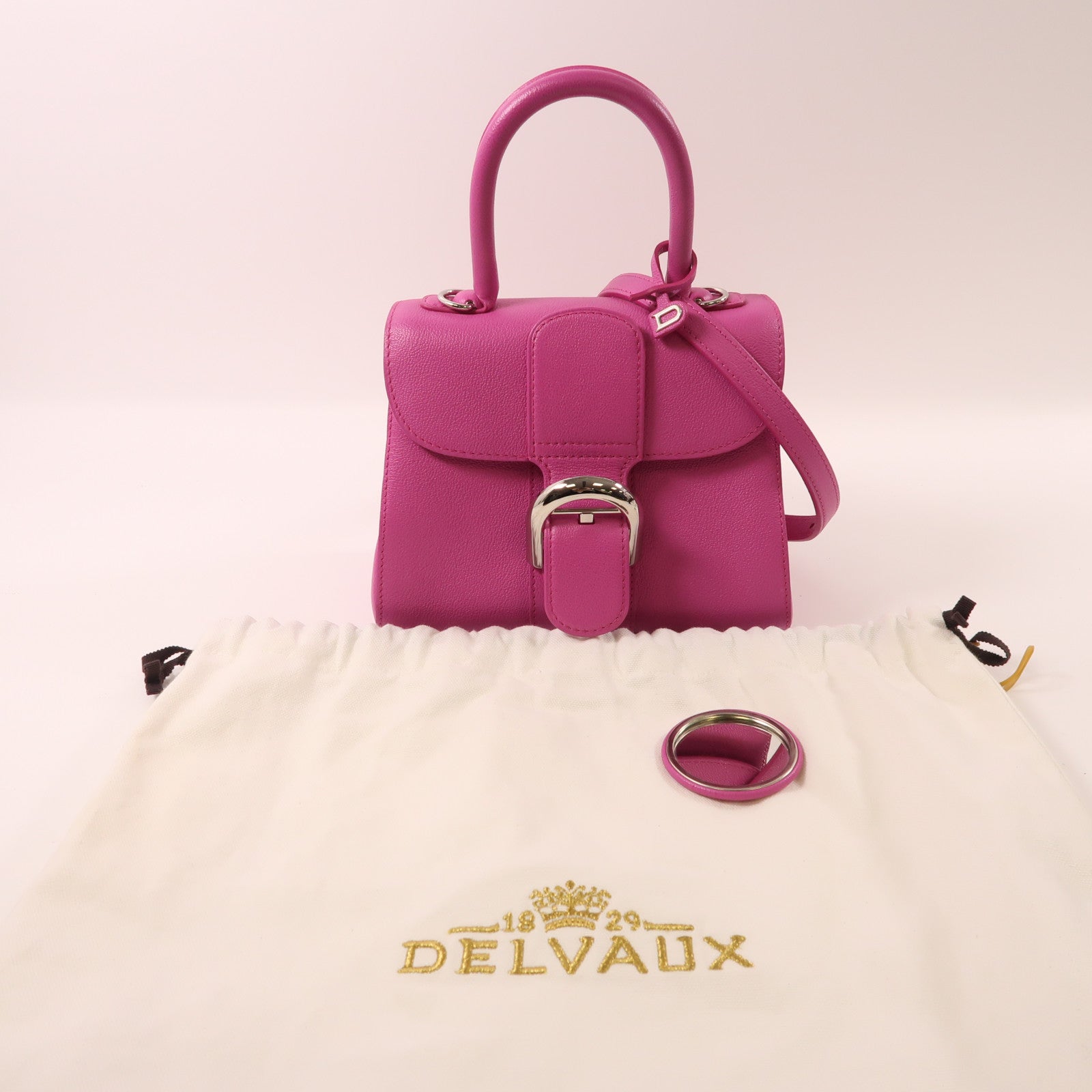 Delvaux 牛皮皮革Briliant Mini銀扣手挽肩背兩用袋