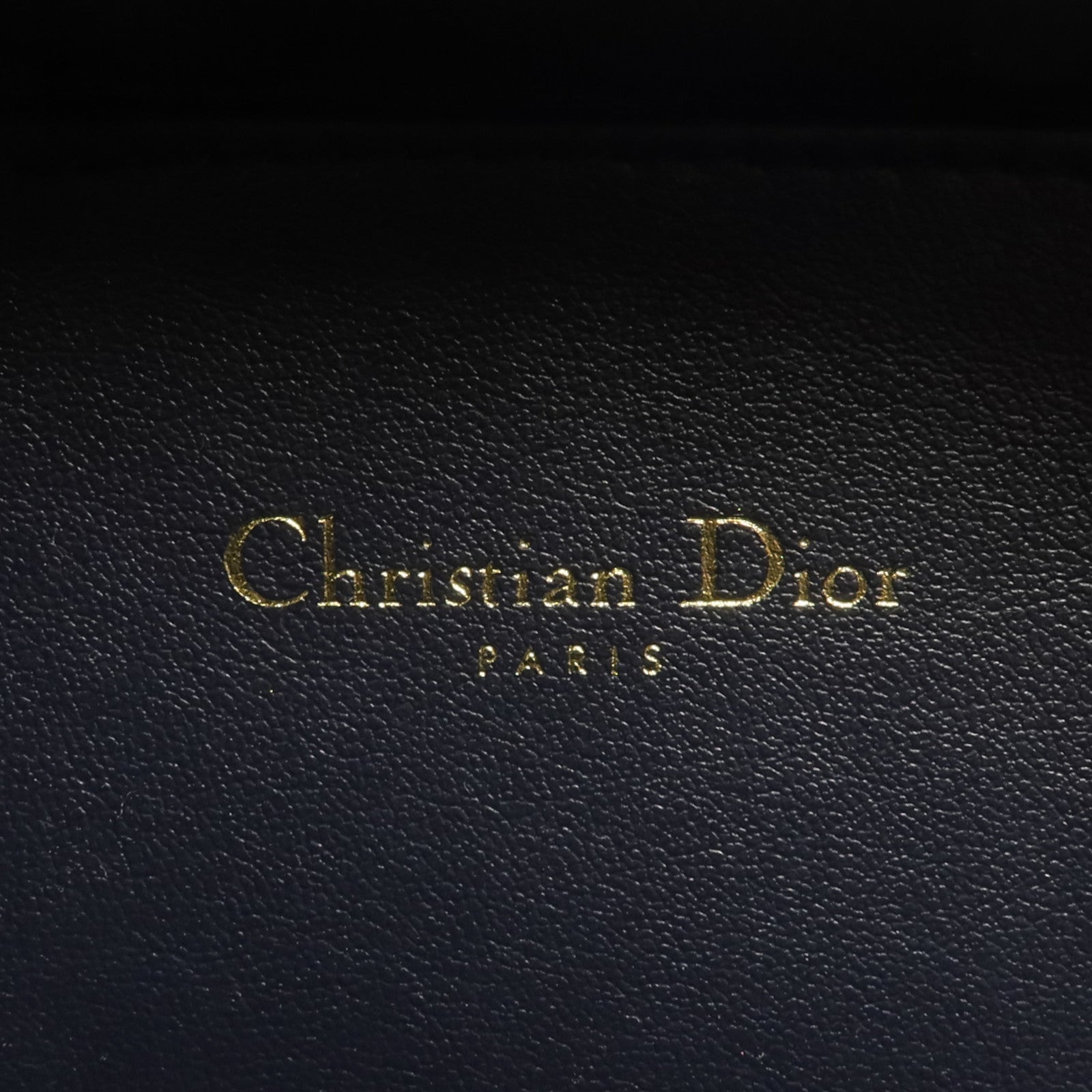 Dior 帆布/皮革CD Signature Oval Camera金扣手挽肩背兩用袋