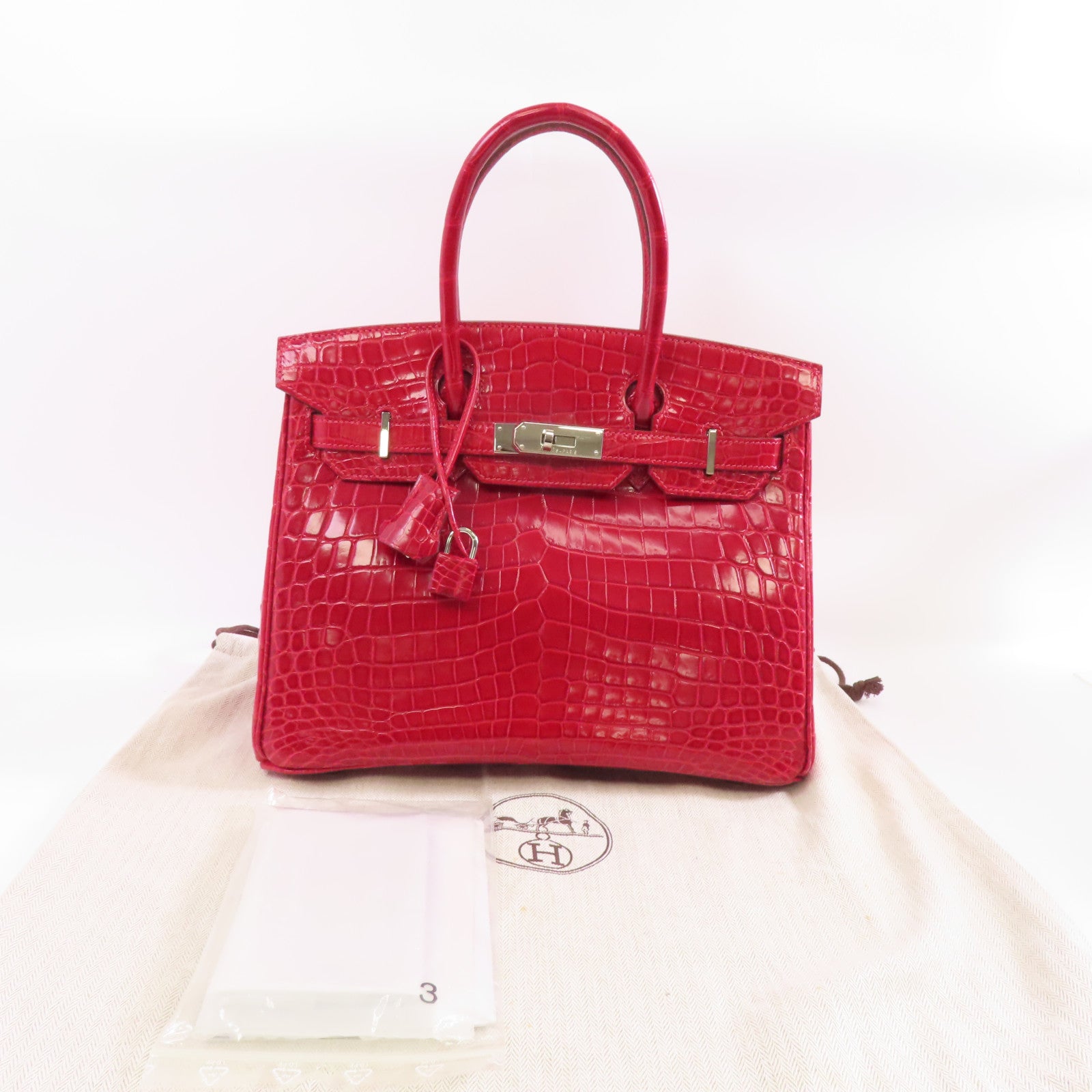 HERMES Niloticus/Braise皮革Birkin 30銀扣手挽袋Braise紅色