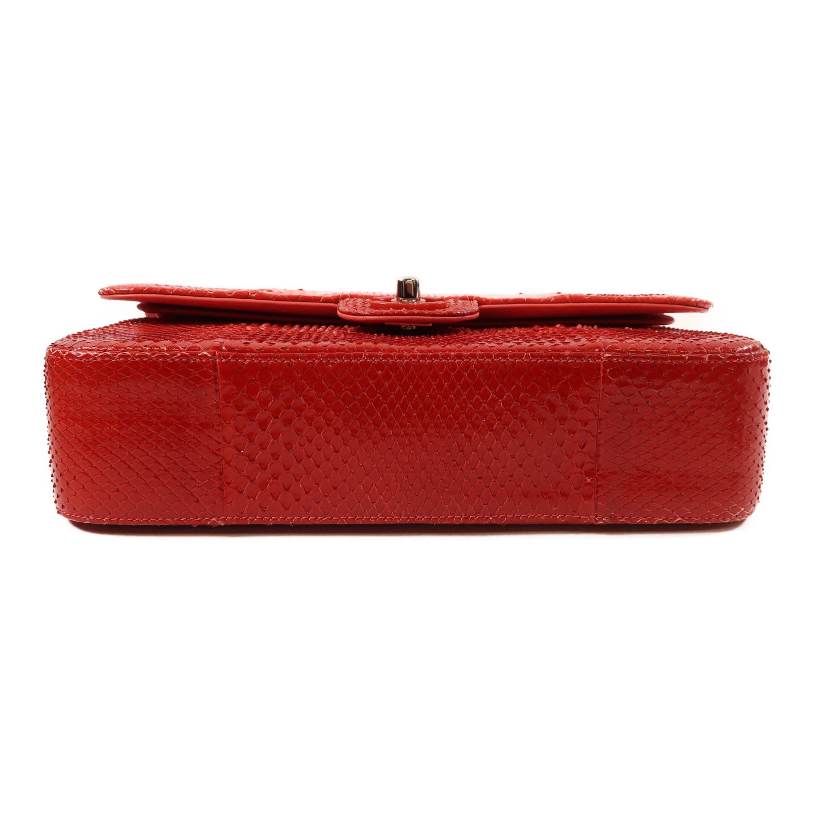 CHANEL 蛇皮皮革Classic 25銀扣鏈帶手挽肩背兩用袋