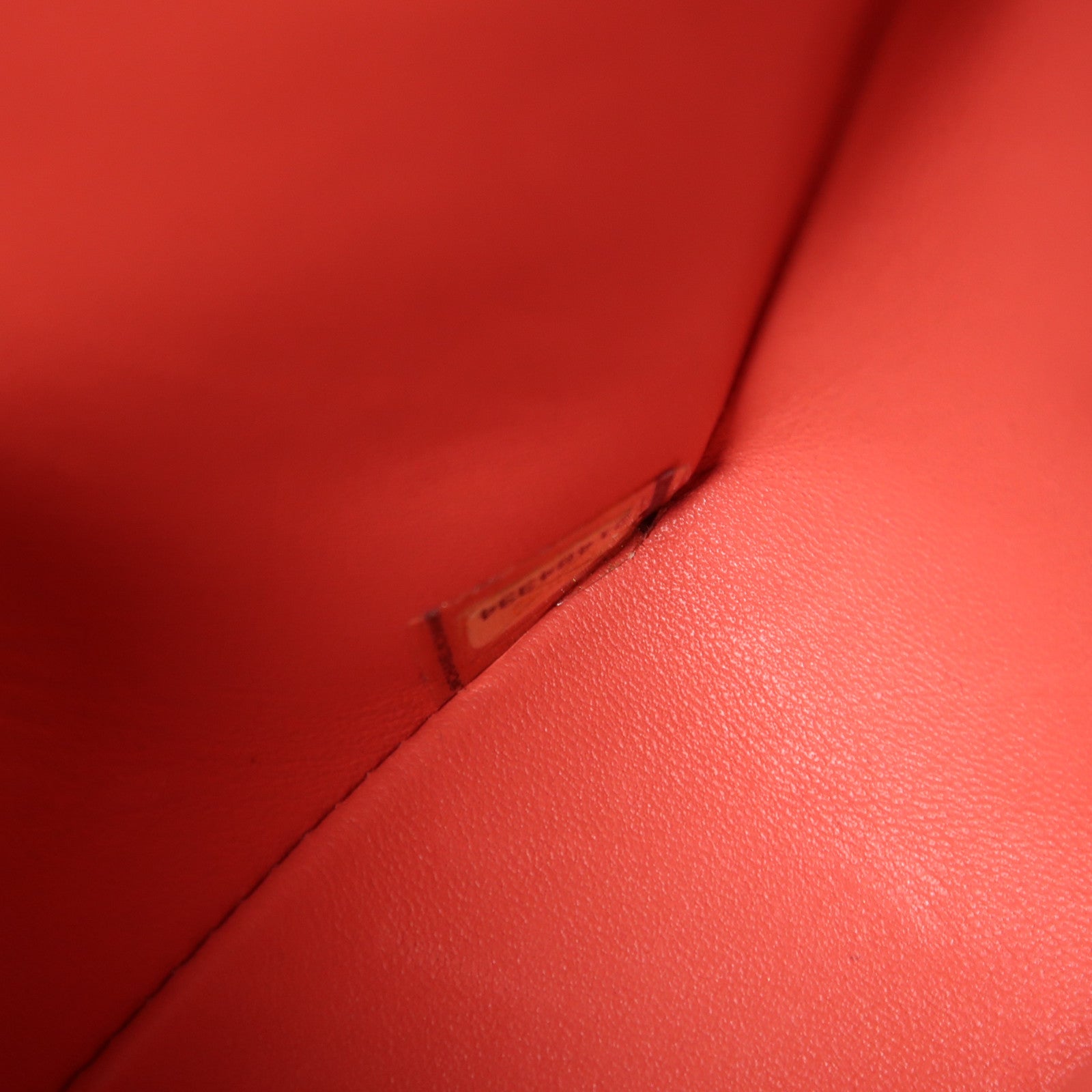 CHANEL 蛇皮皮革Classic 25銀扣鏈帶手挽肩背兩用袋