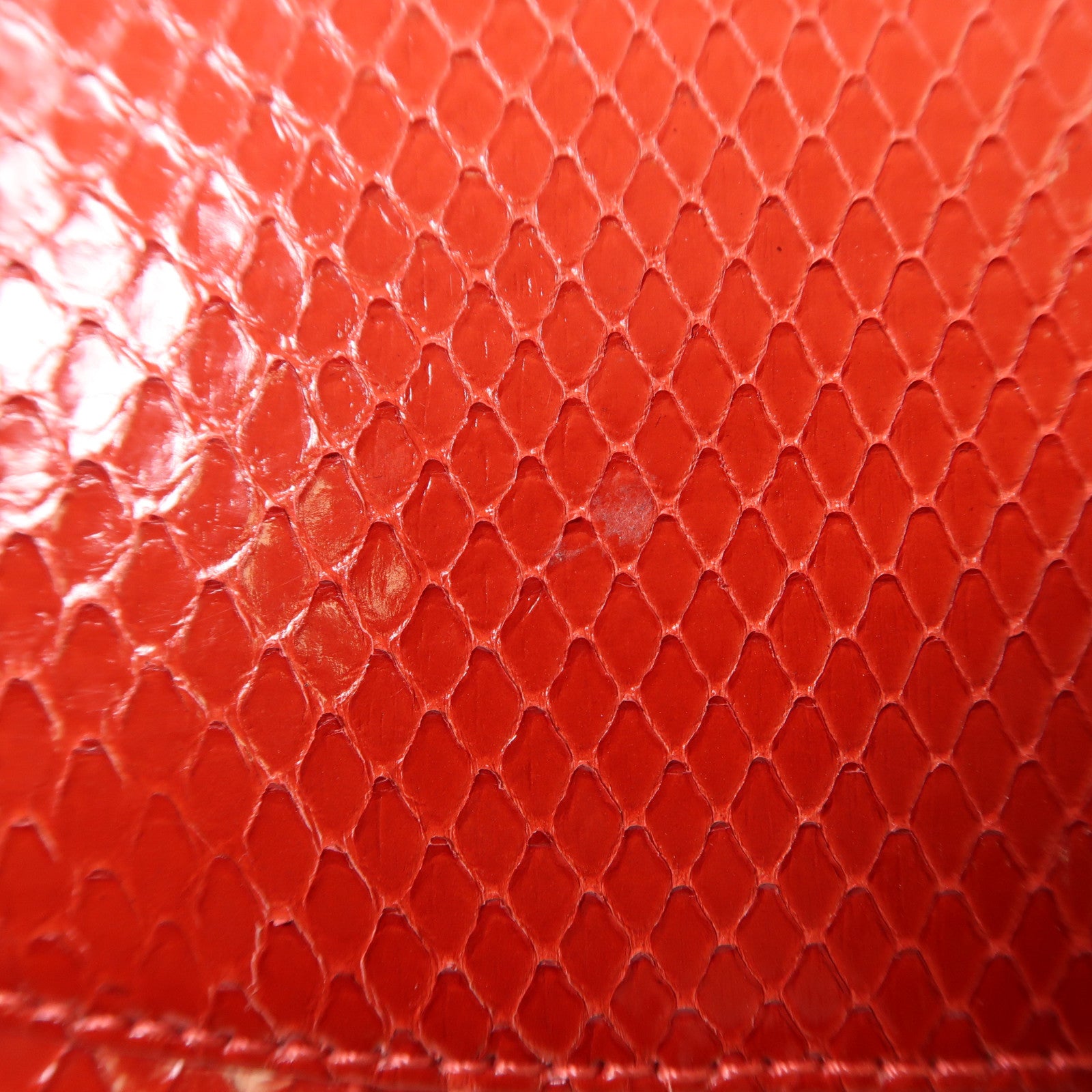 CHANEL 蛇皮皮革Classic 25銀扣鏈帶手挽肩背兩用袋