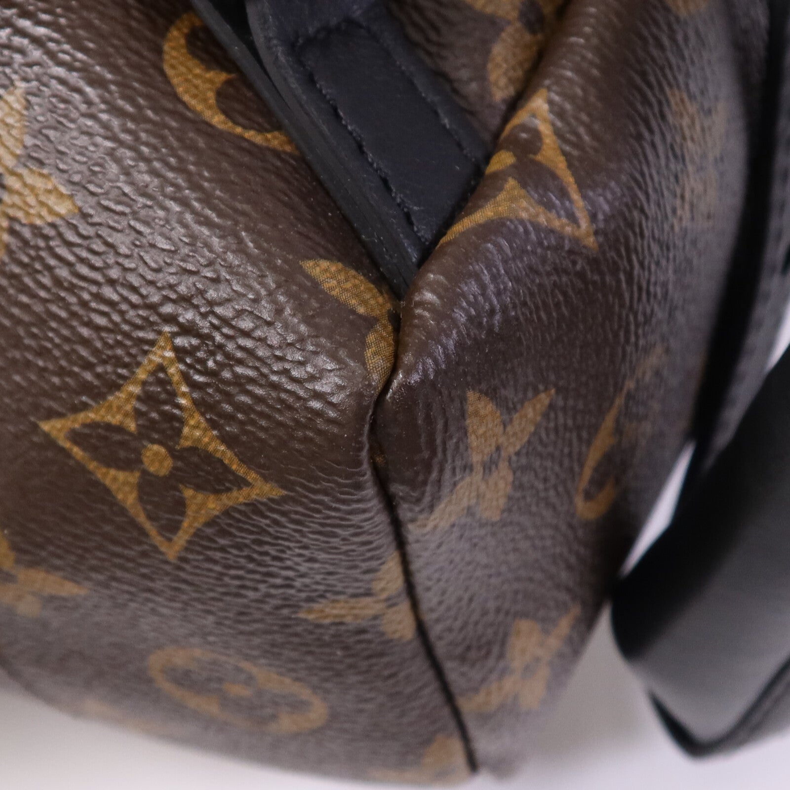LOUIS VUITTON Monogram Palm Springs PM金扣背包
