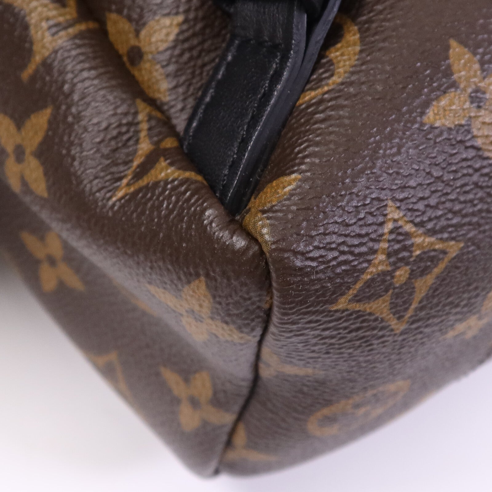 LOUIS VUITTON Monogram Palm Springs PM金扣背包