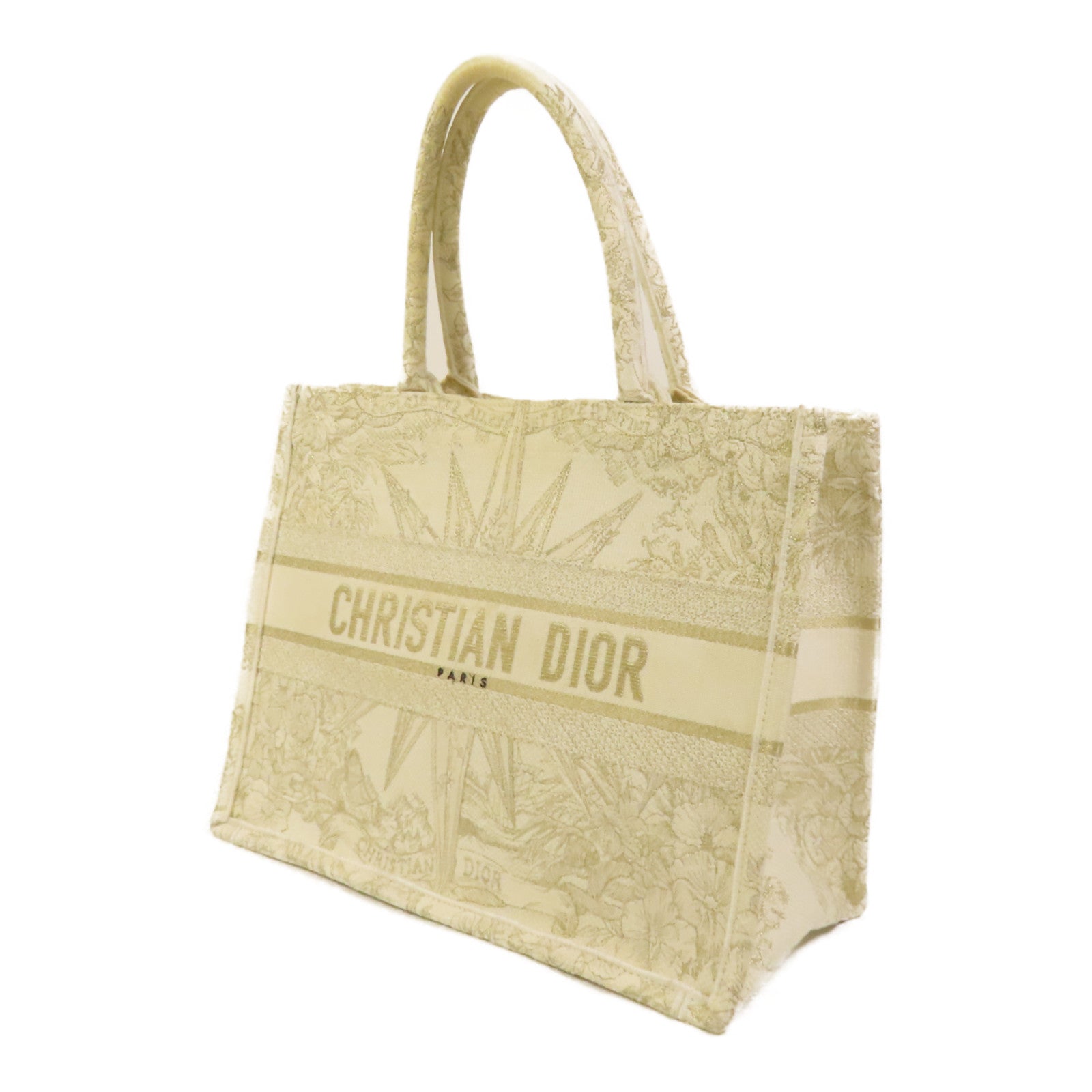 Dior 帆布Book Tote Medium手挽袋