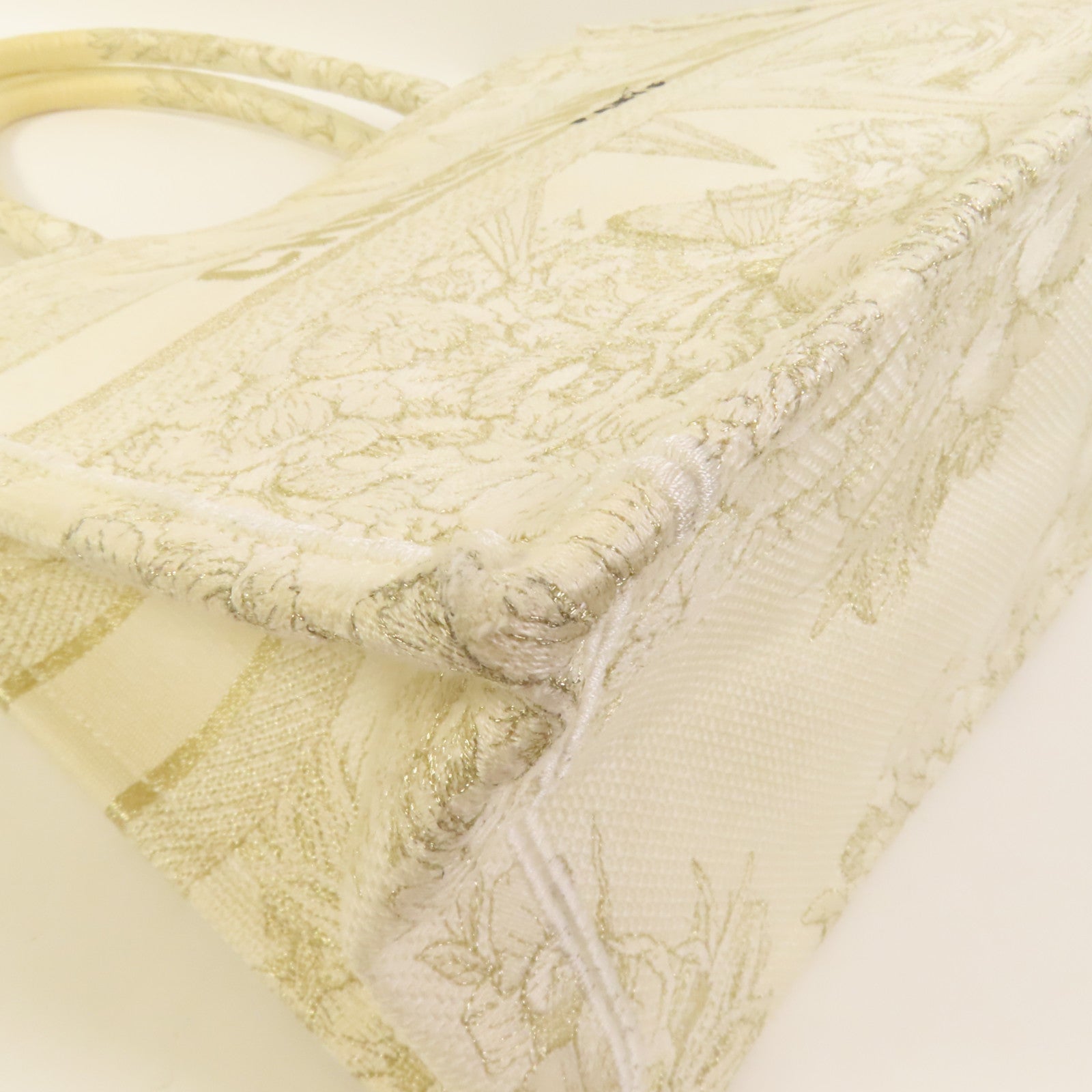 Dior 帆布Book Tote Medium手挽袋