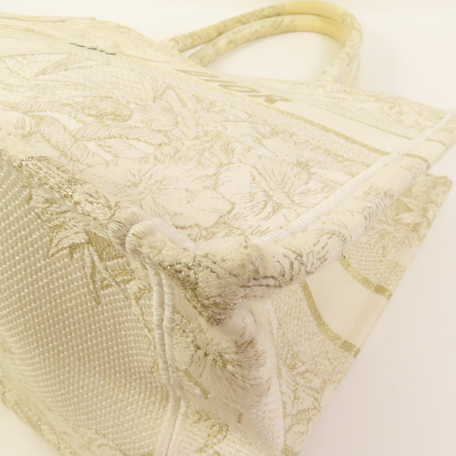 Dior 帆布Book Tote Medium手挽袋