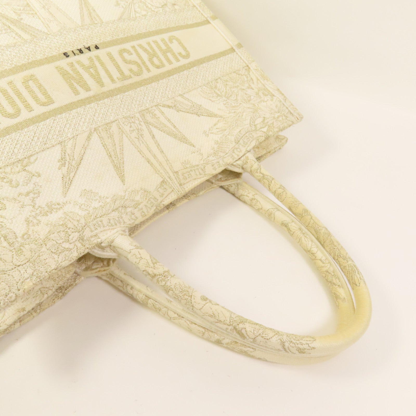 Dior 帆布Book Tote Medium手挽袋