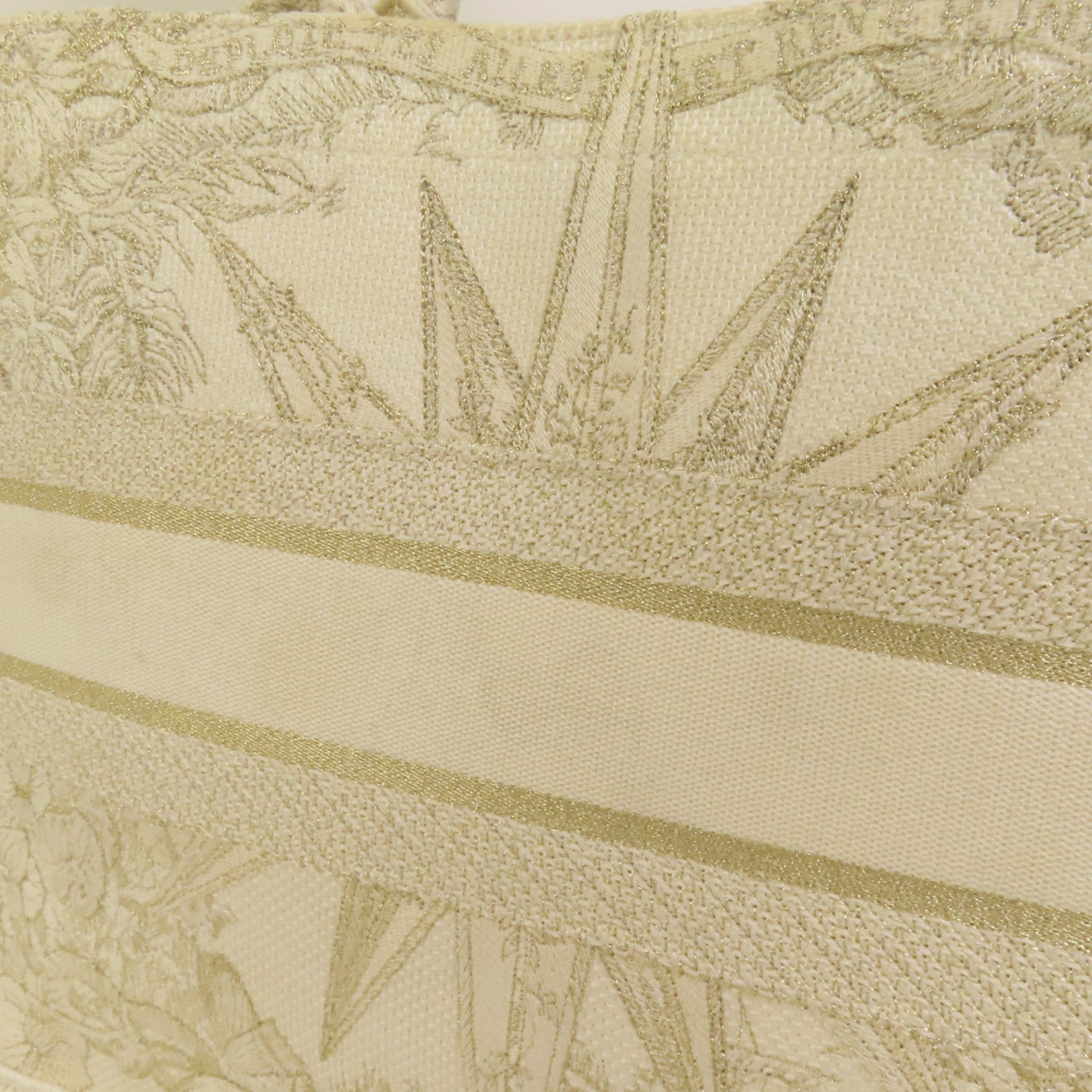 Dior 帆布Book Tote Medium手挽袋