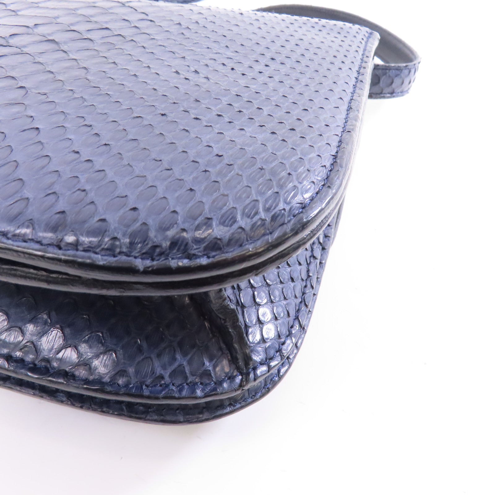 CELINE 蛇皮皮革Box Shoulder Bag金扣肩背袋藍色