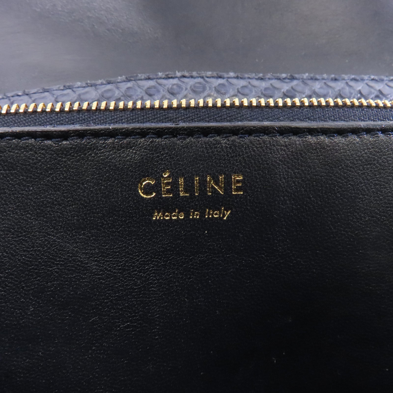 CELINE 蛇皮皮革Box Shoulder Bag金扣肩背袋藍色