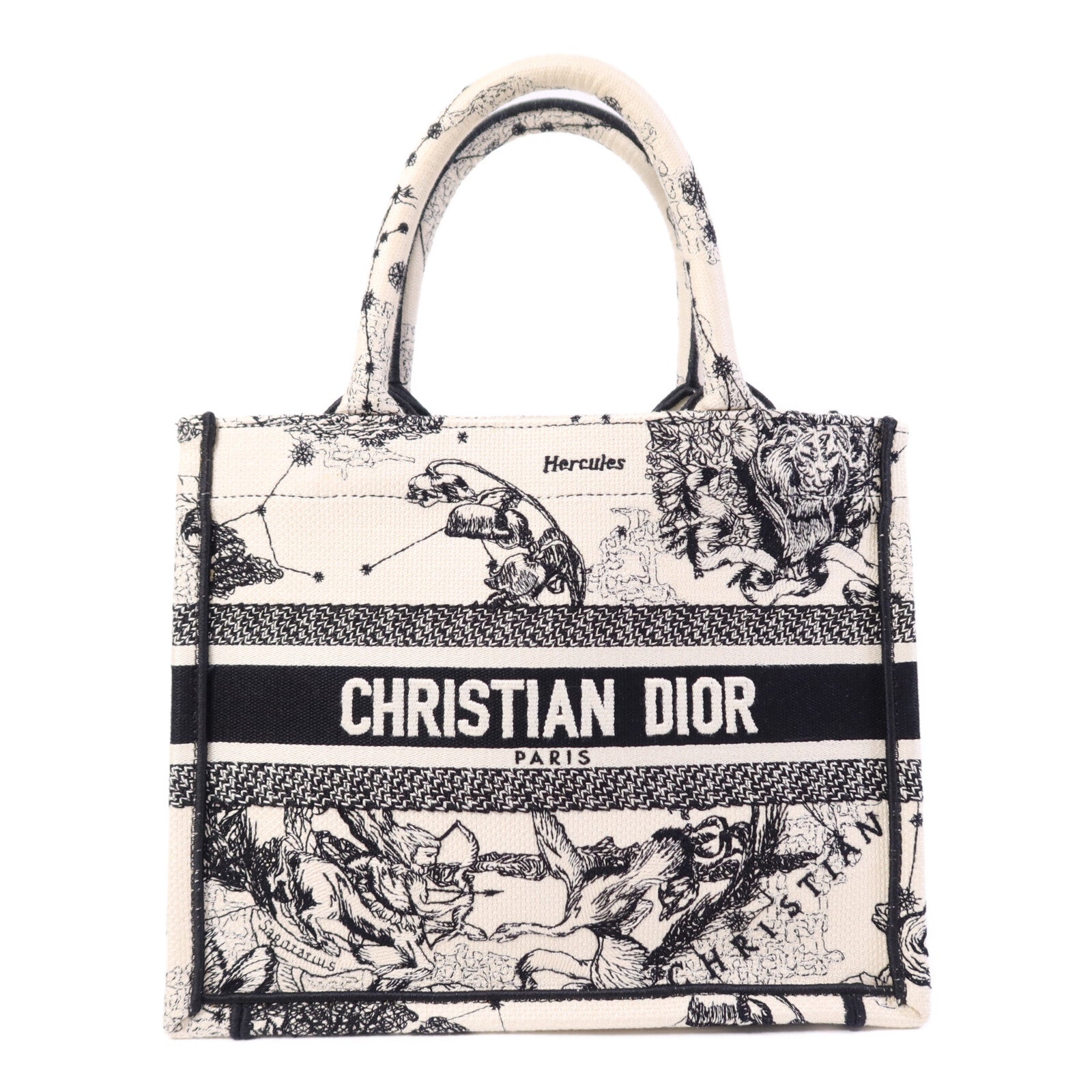 Dior 帆布Book Tote Small手挽袋