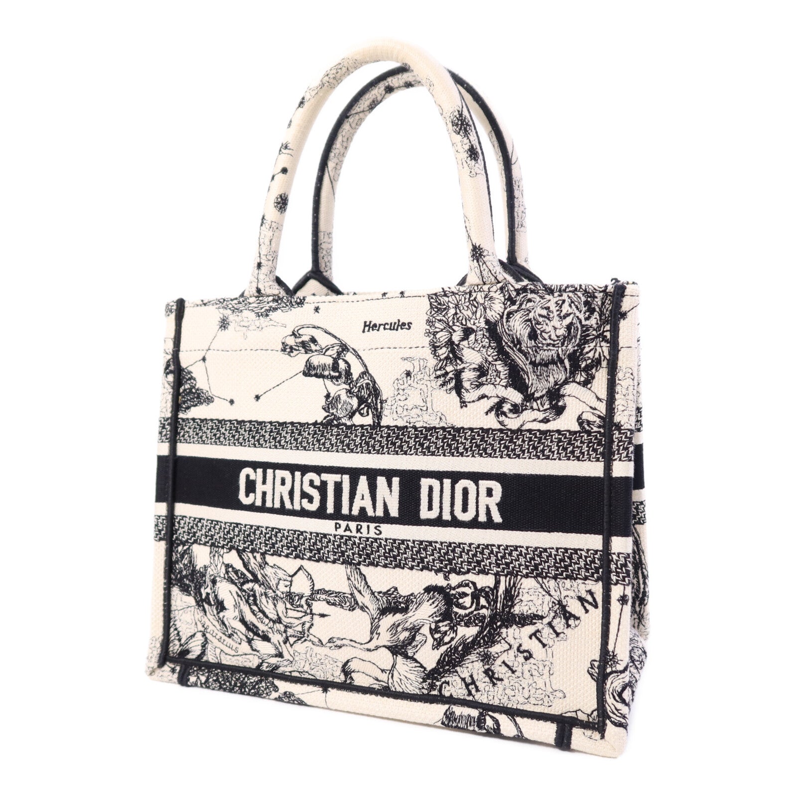 Dior 帆布Book Tote Small手挽袋