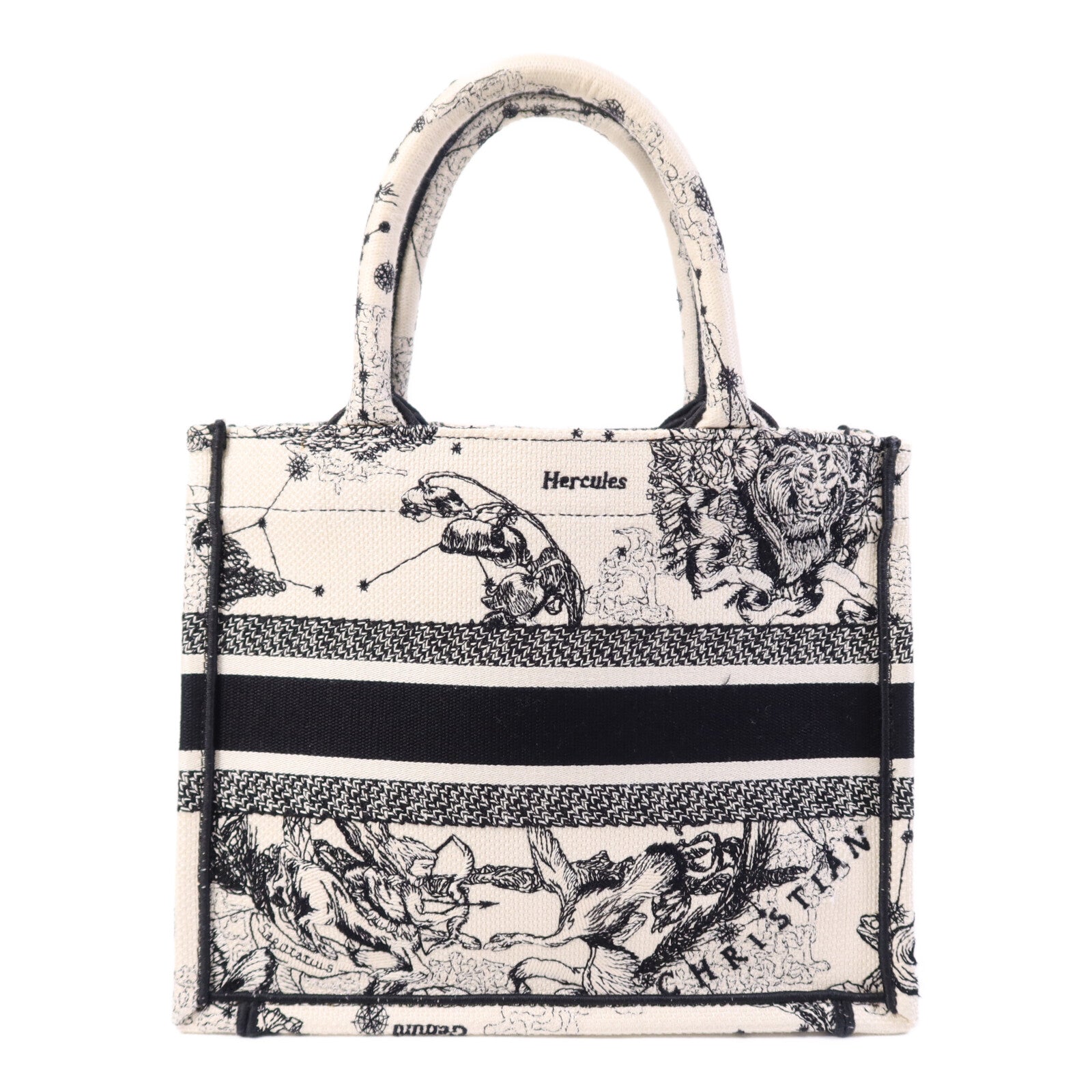Dior 帆布Book Tote Small手挽袋