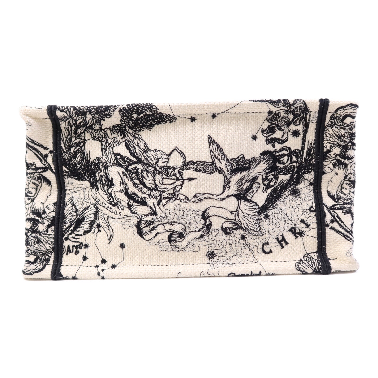 Dior 帆布Book Tote Small手挽袋