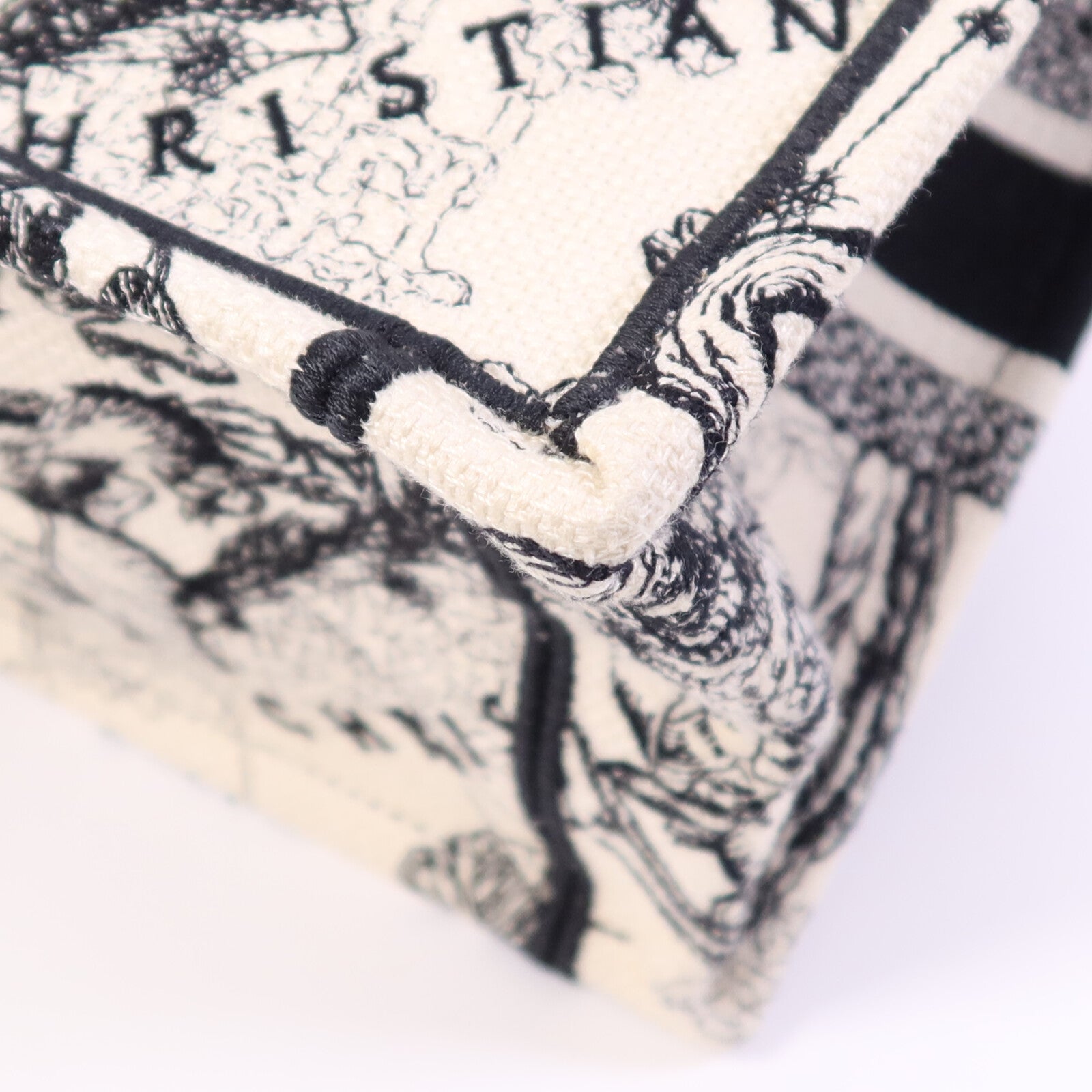 Dior 帆布Book Tote Small手挽袋