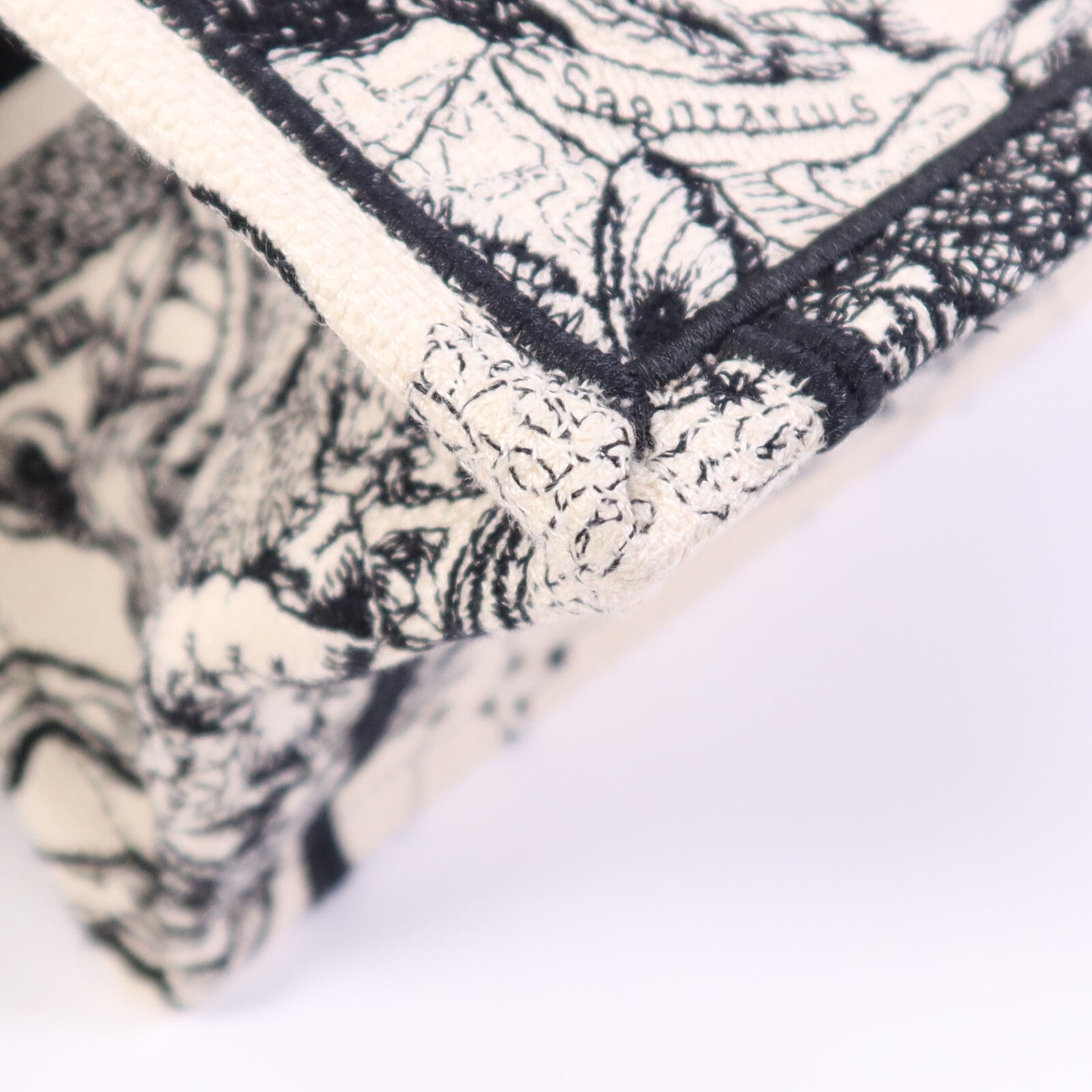 Dior 帆布Book Tote Small手挽袋