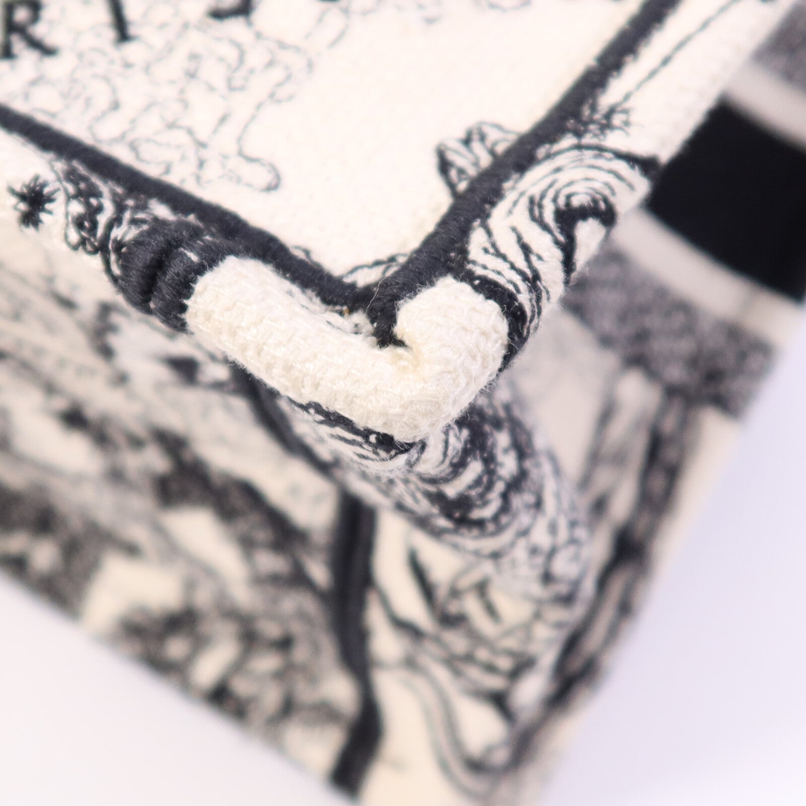 Dior 帆布Book Tote Small手挽袋