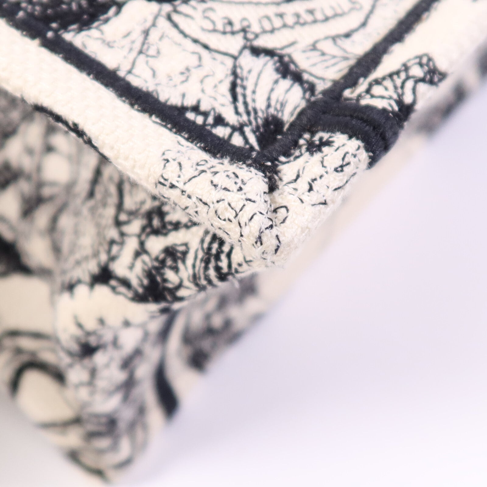 Dior 帆布Book Tote Small手挽袋