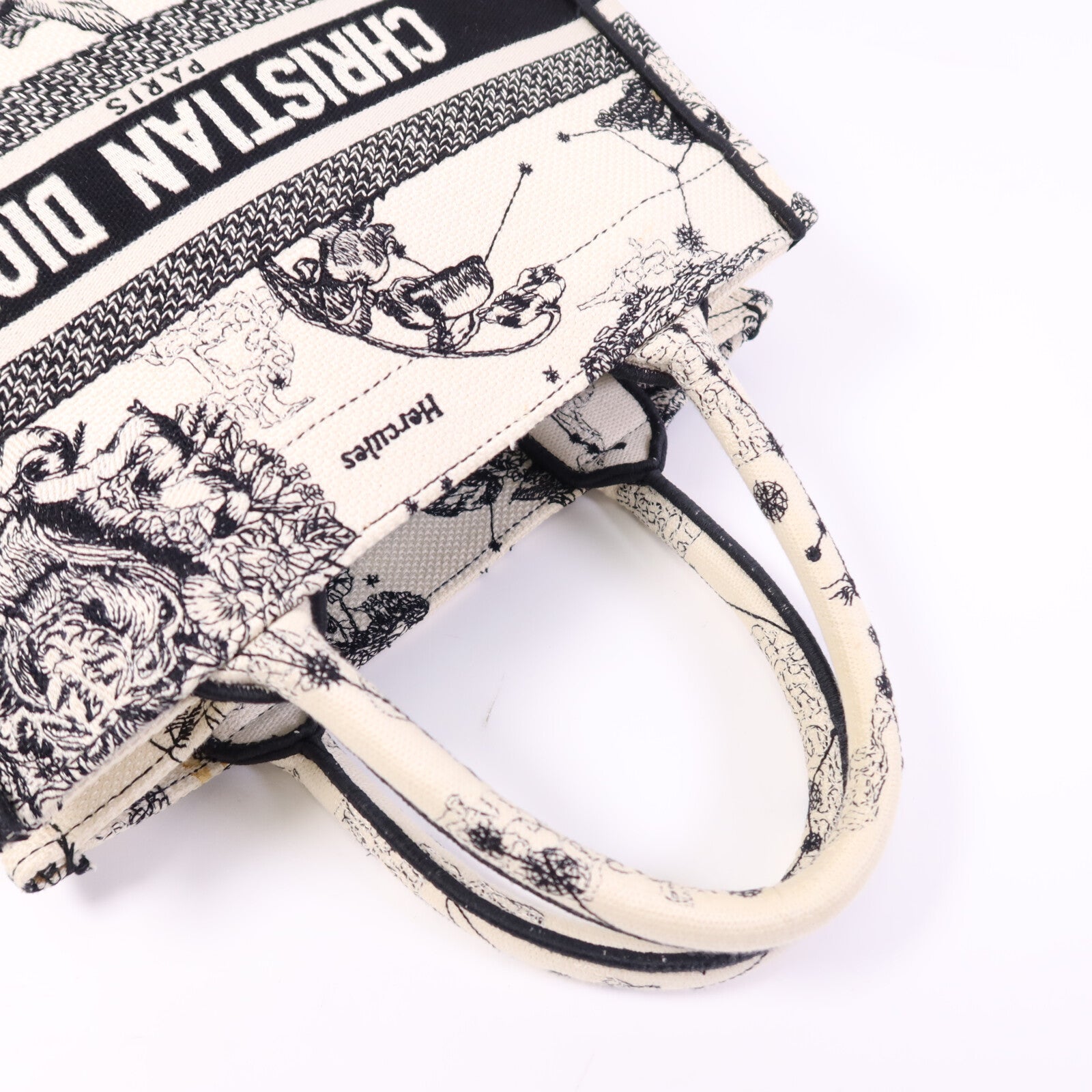 Dior 帆布Book Tote Small手挽袋