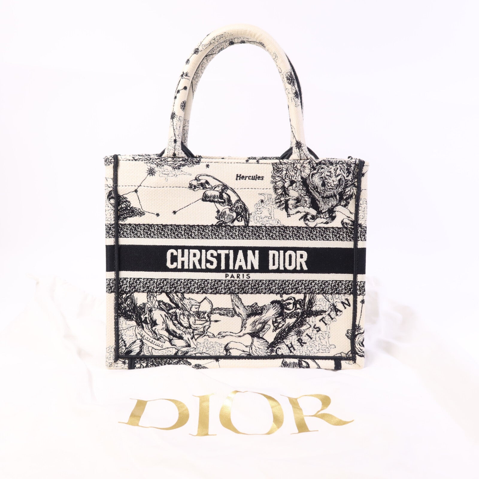 Dior 帆布Book Tote Small手挽袋