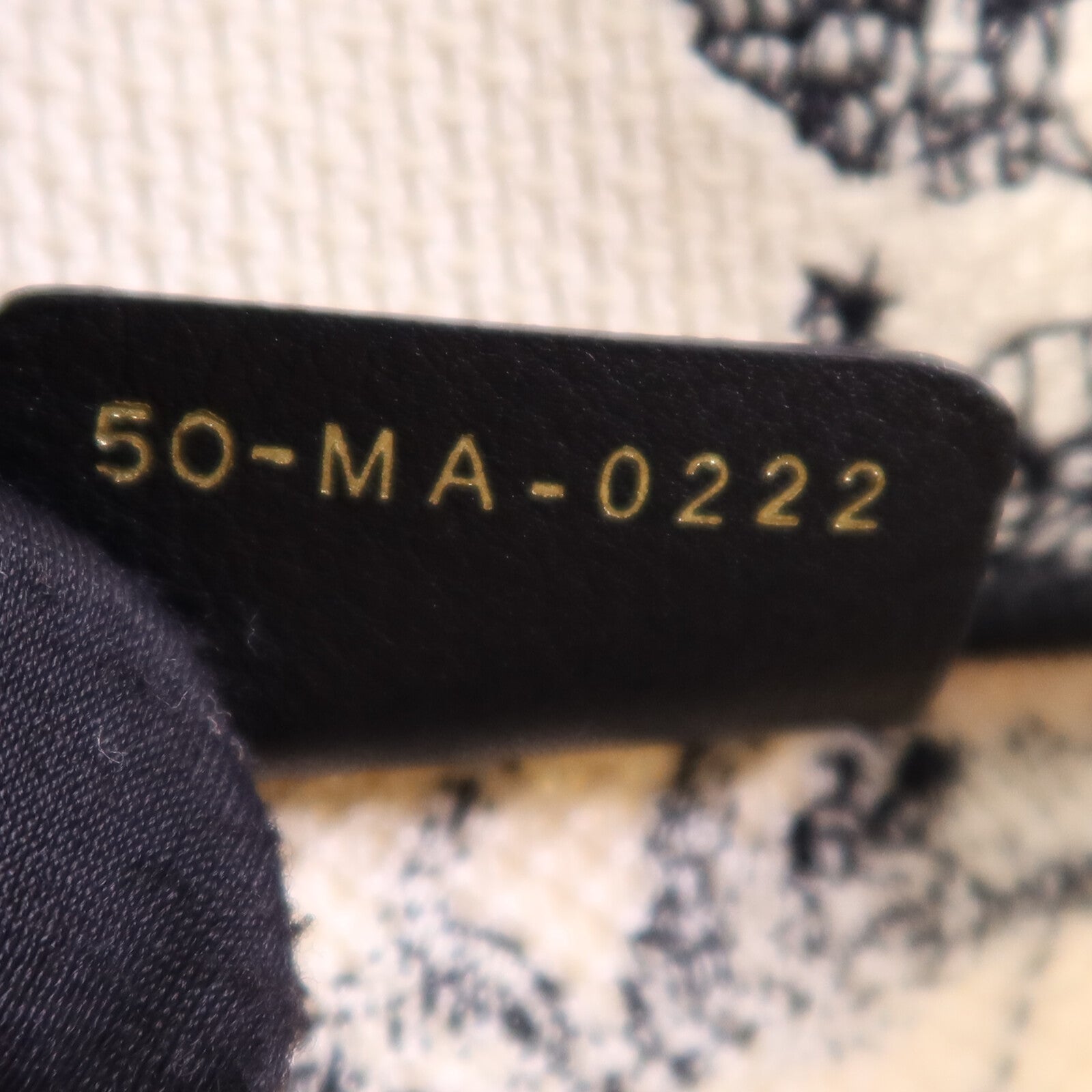 Dior 帆布Book Tote Small手挽袋