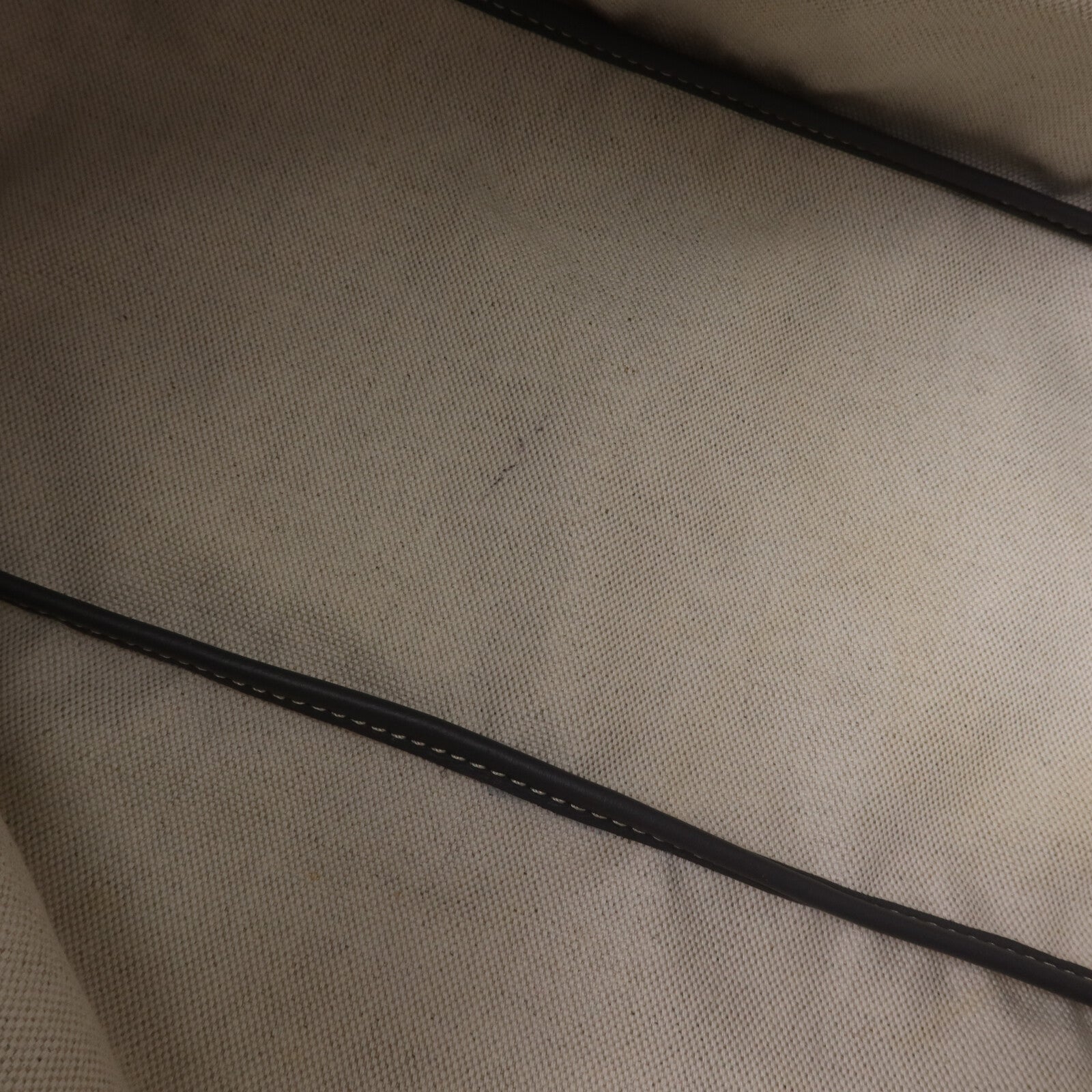 GOYARD 塗層帆布Saint Louis PM銀扣手挽袋
