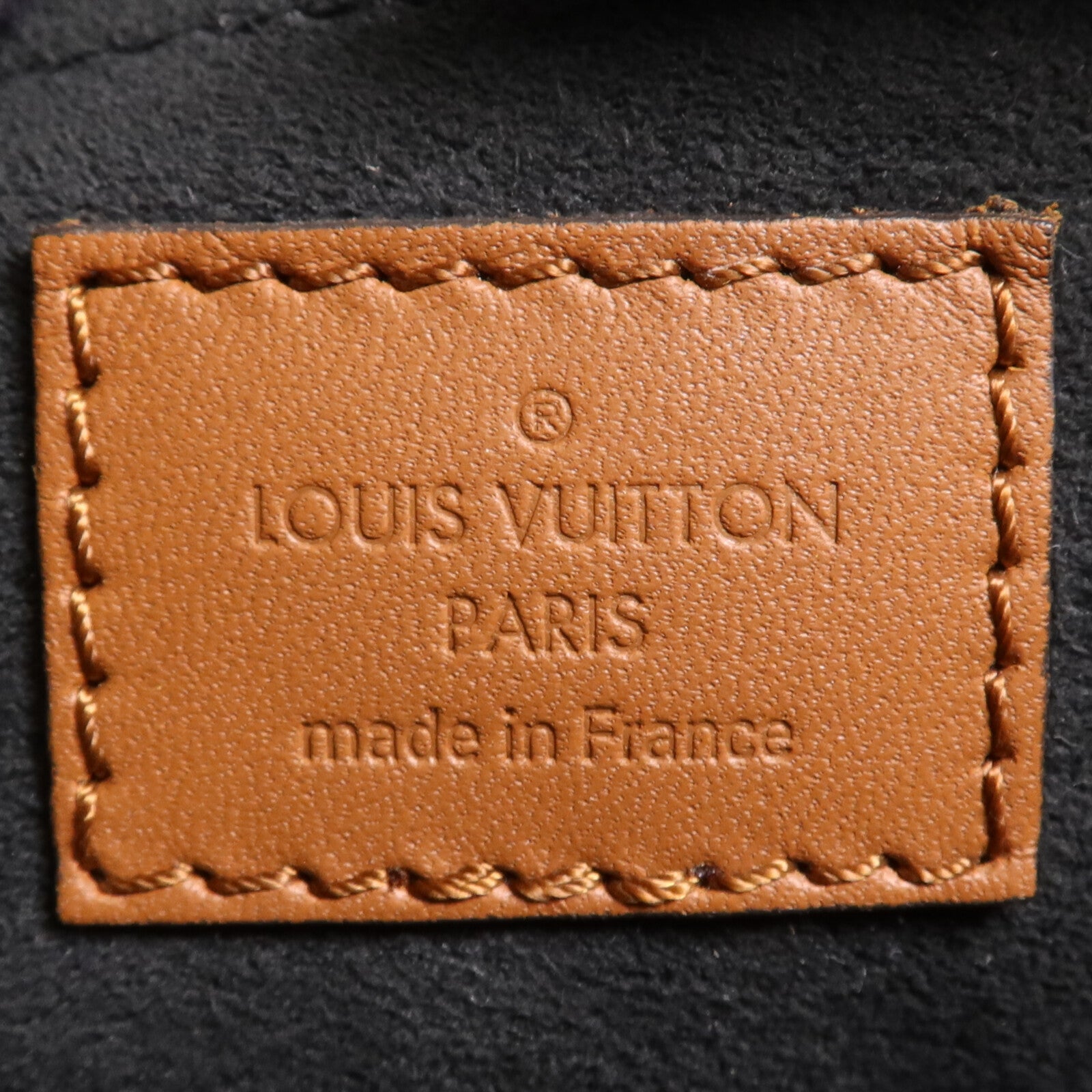 LOUIS VUITTON Monogram Reverse Dauphine Backpack背包