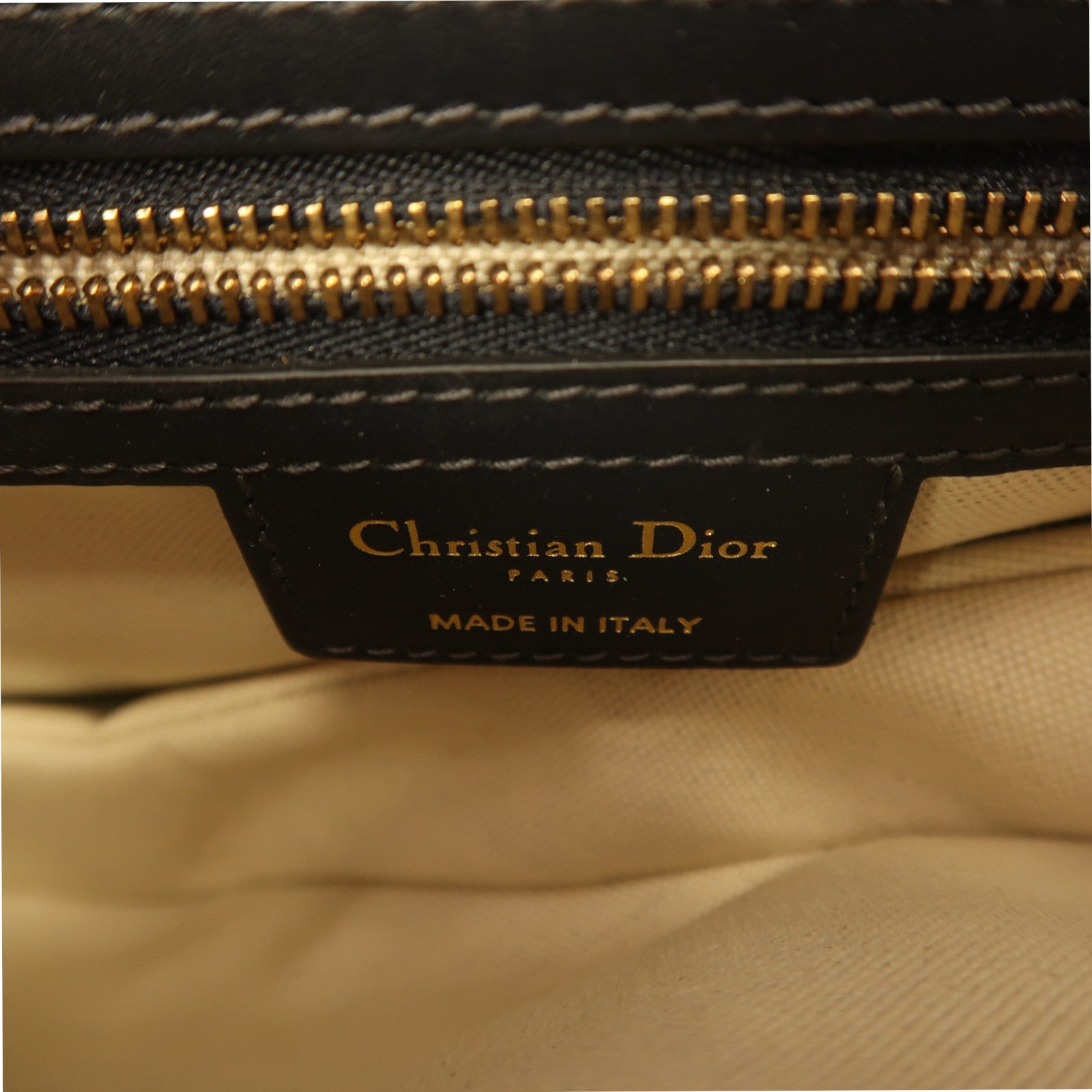 Dior 帆布Saddle金扣肩背袋