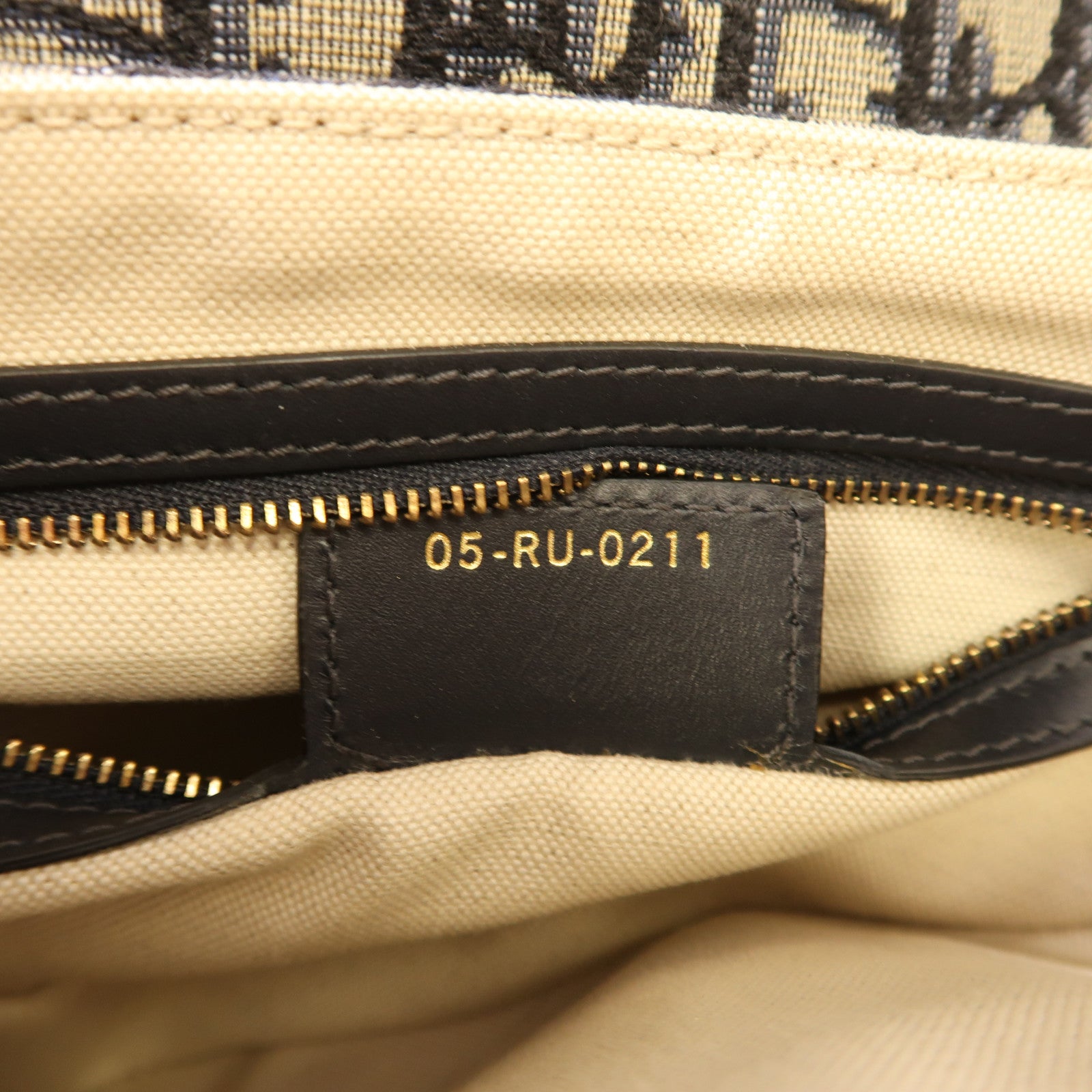 Dior 帆布Saddle金扣肩背袋