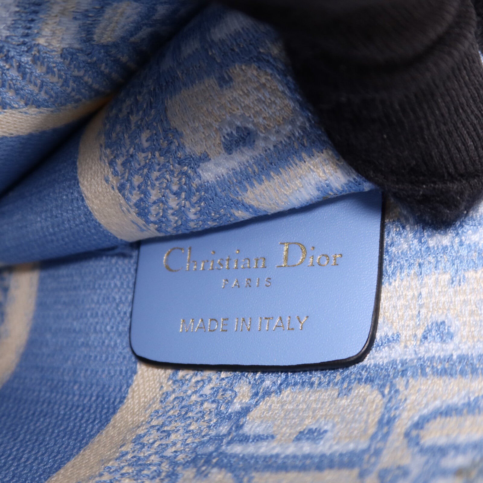 Dior 帆布Book Tote Micro手挽袋