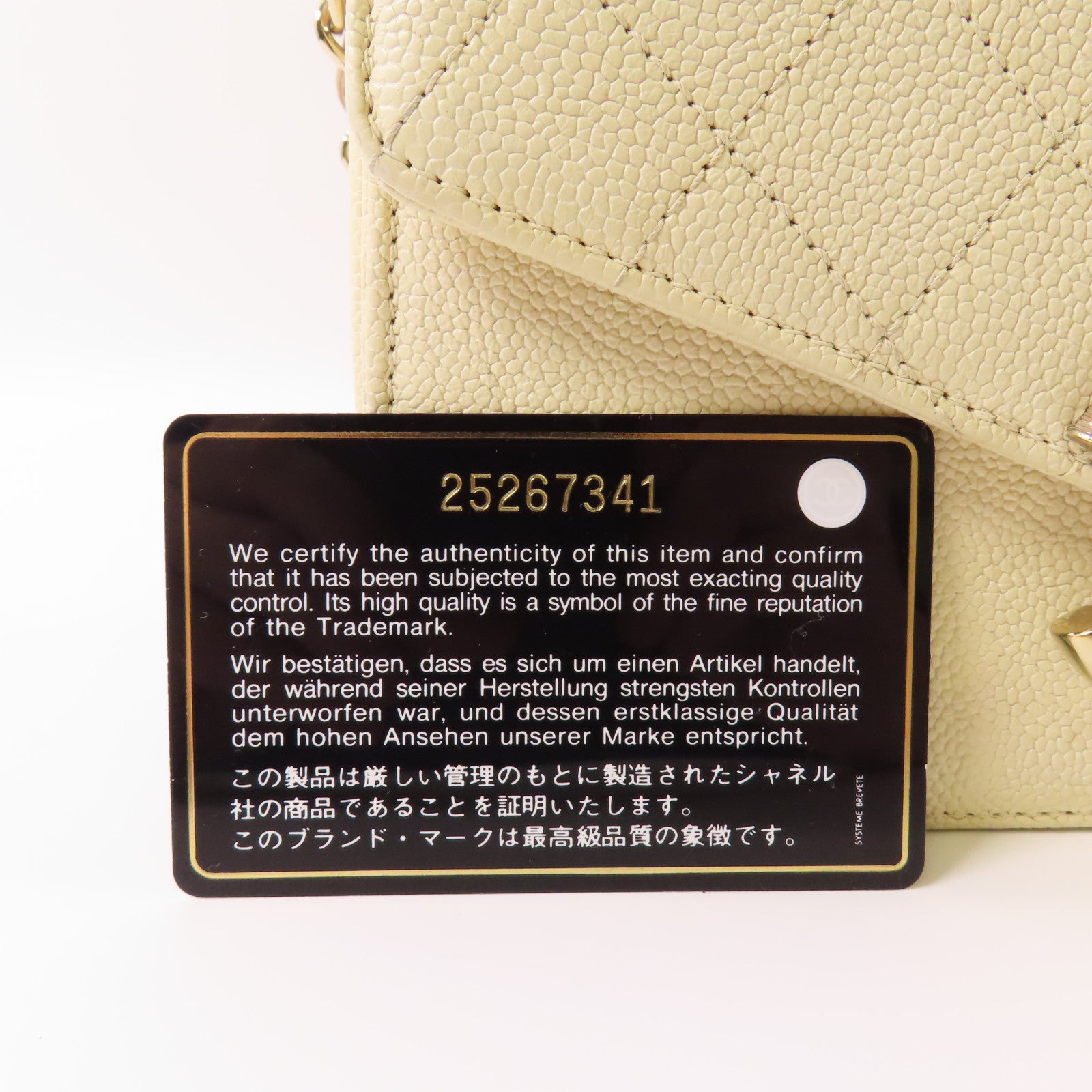 CHANEL 皮革Shoulder Bag金扣手挽肩背兩用袋