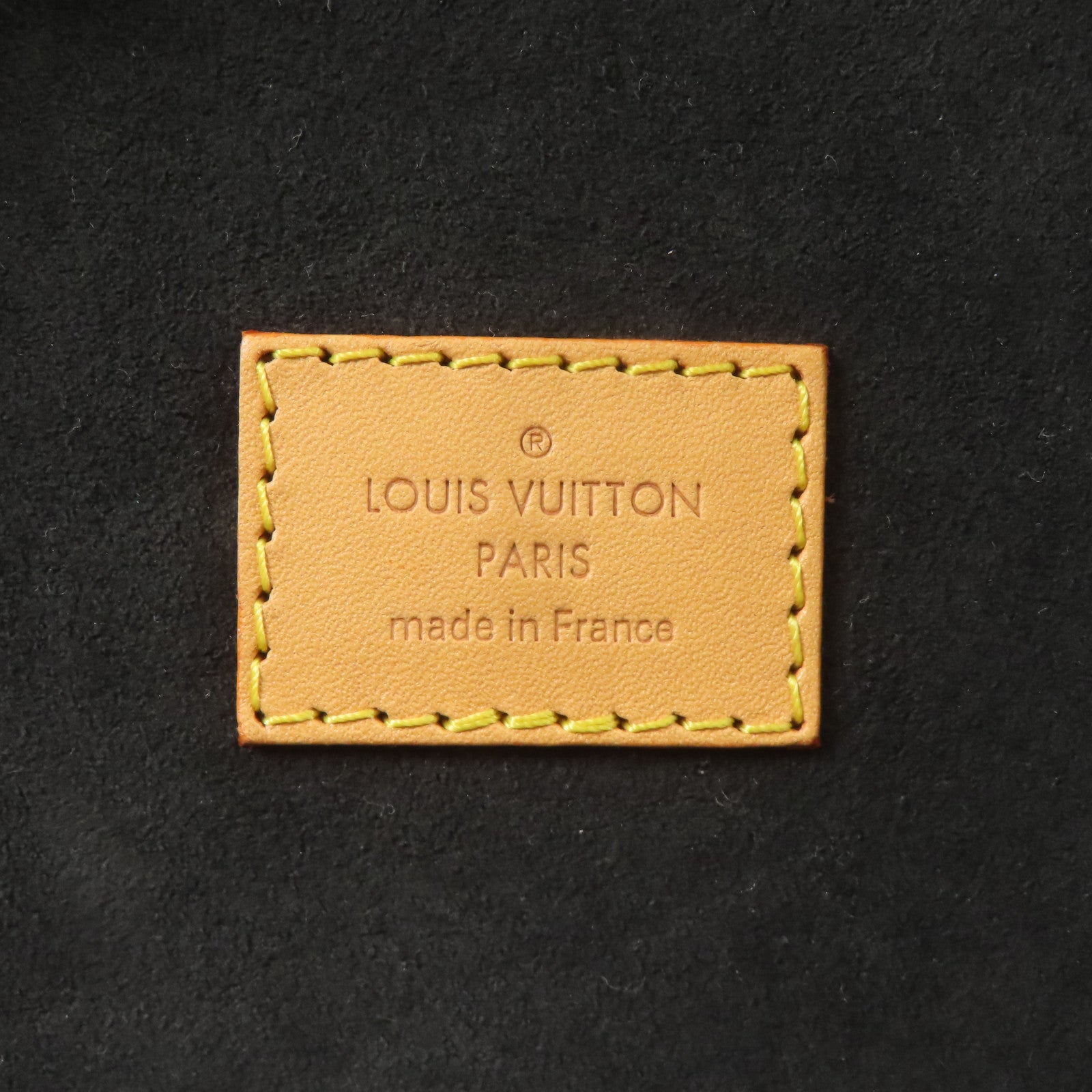 LOUIS VUITTON LV GHW Cannes 2way Shoulder Bag M44603 Monogram Giant Brown