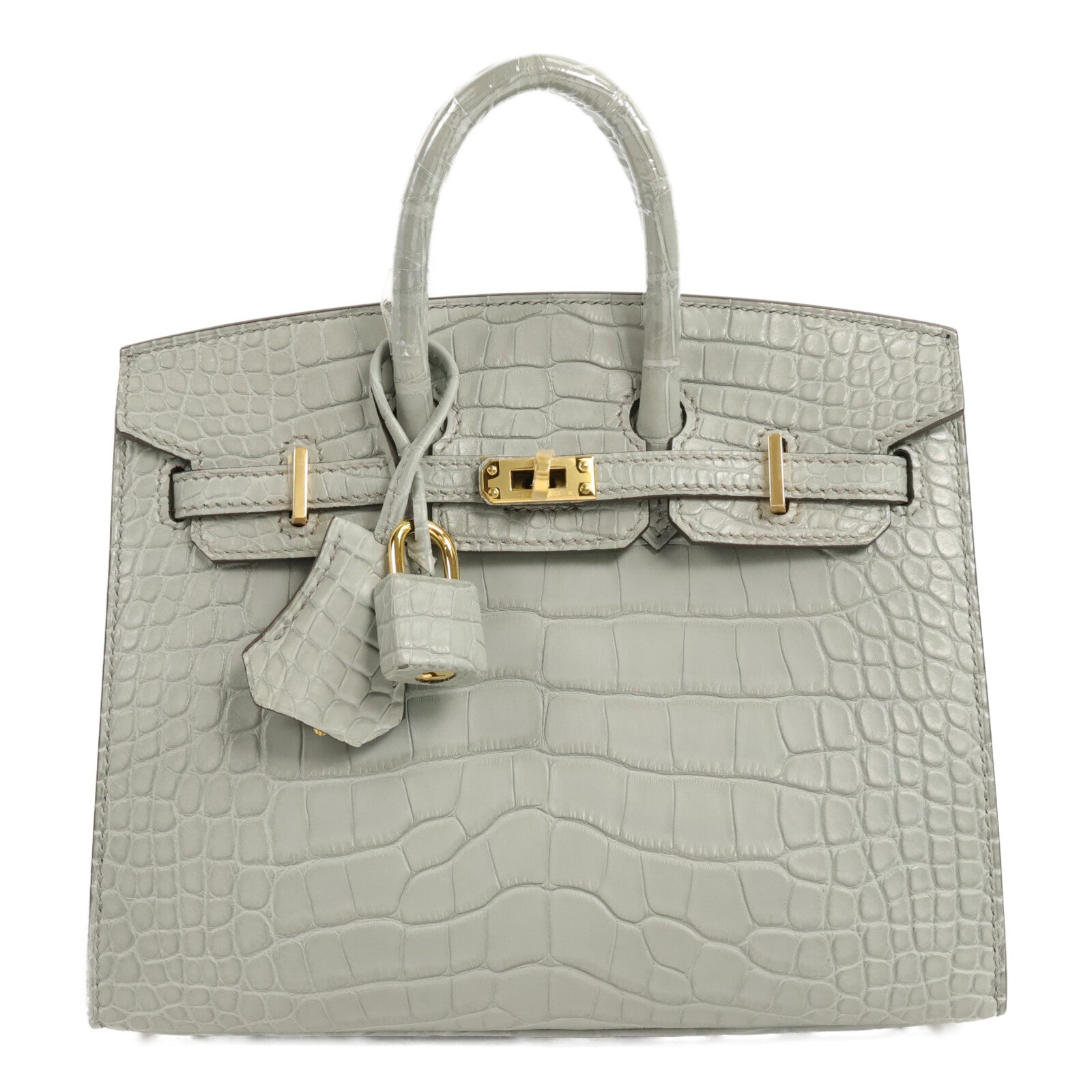 HERMES 鱷魚皮革Birkin 20手挽袋